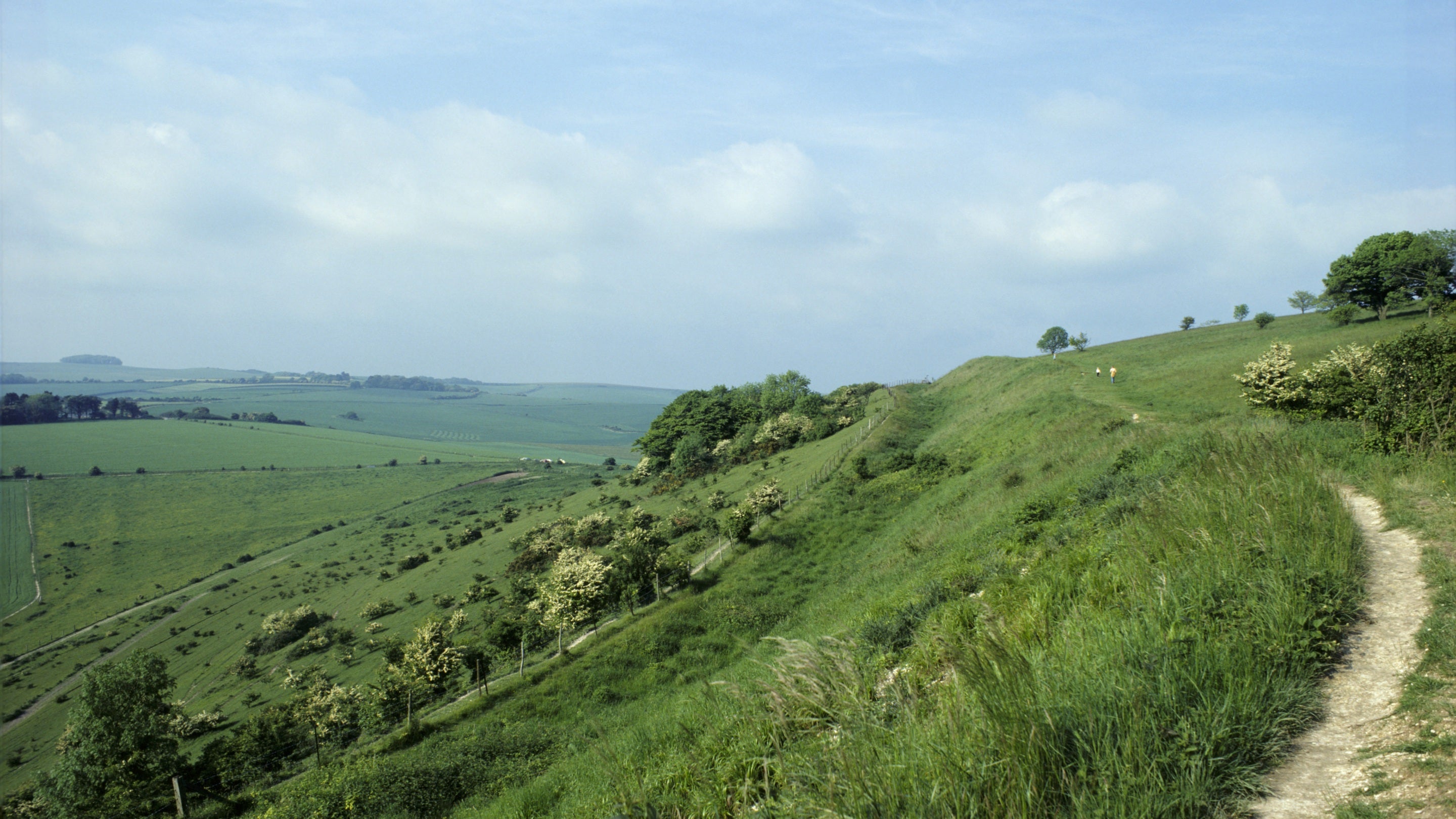 Chalky path winding along the top of a bank at Cissbury Ring, West Sussex, with a view off over the green fields to the left, with a blue cloudy sky.