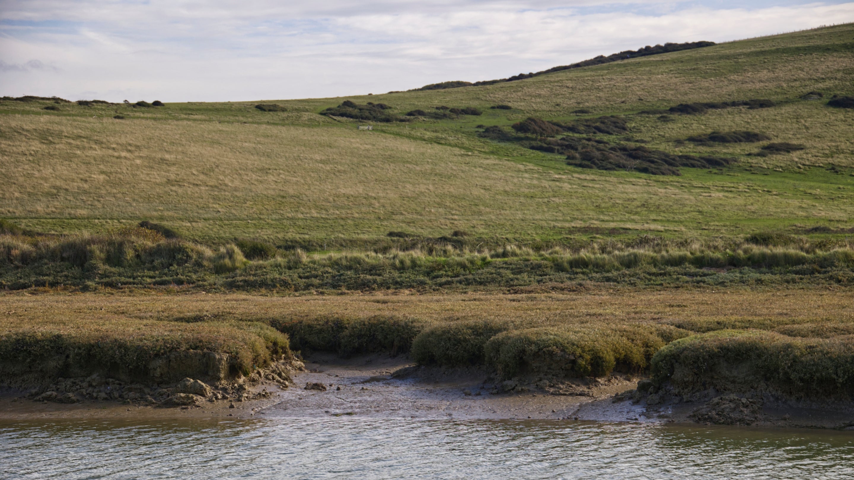 Salt marsh is already starting to form along the banks of the river Cuckmere