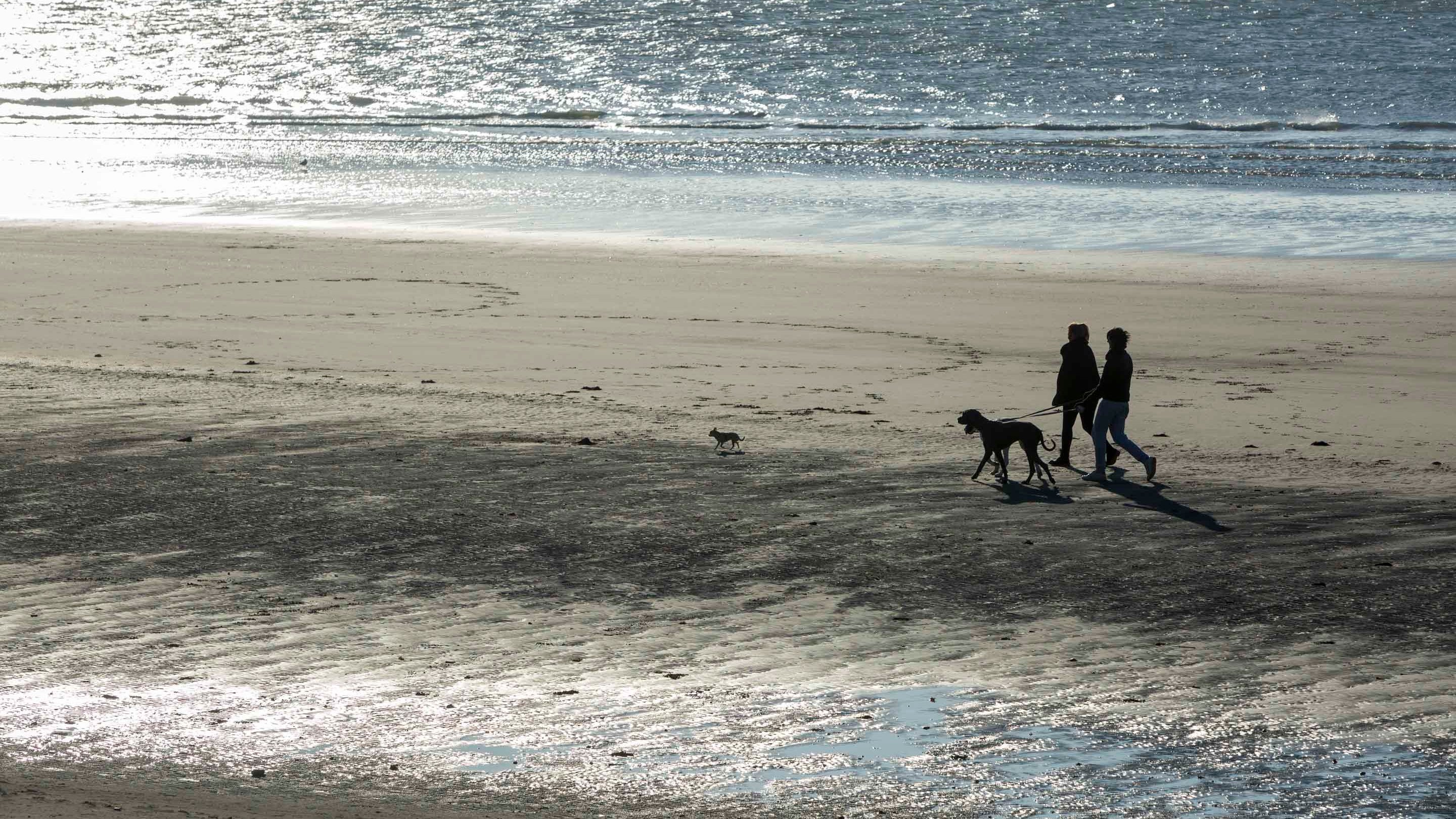 Two people and a dog walking across the sand at East Head, West Sussex with the sea glimmering in the distance
