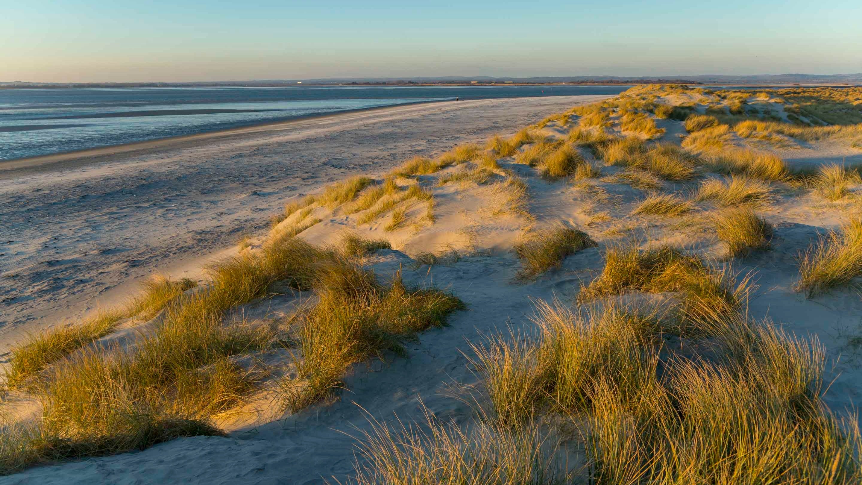 https://nt.global.ssl.fastly.net/binaries/content/gallery/website/national/regions/sussex/places/east-head/library/spring/sand-dunes-east-head-1137214.jpg