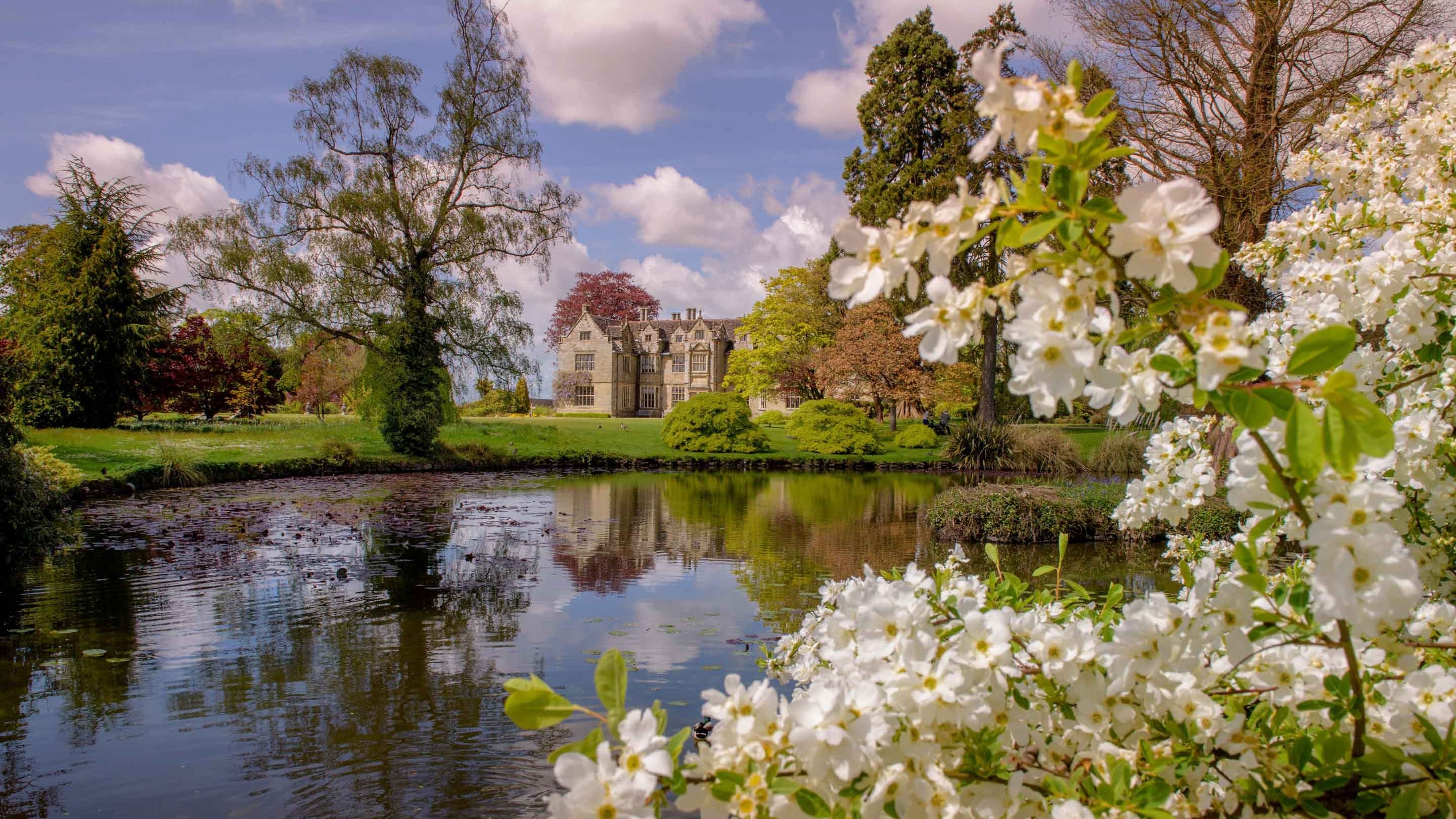 A view across the lake to the Elizabethan mansion on a sunny day at Wakehurst, framed by blossom in the foreground
