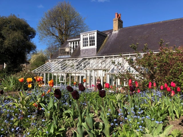 Monk's House, conservatory side and view of the front beds with red tulips and forget me nots
