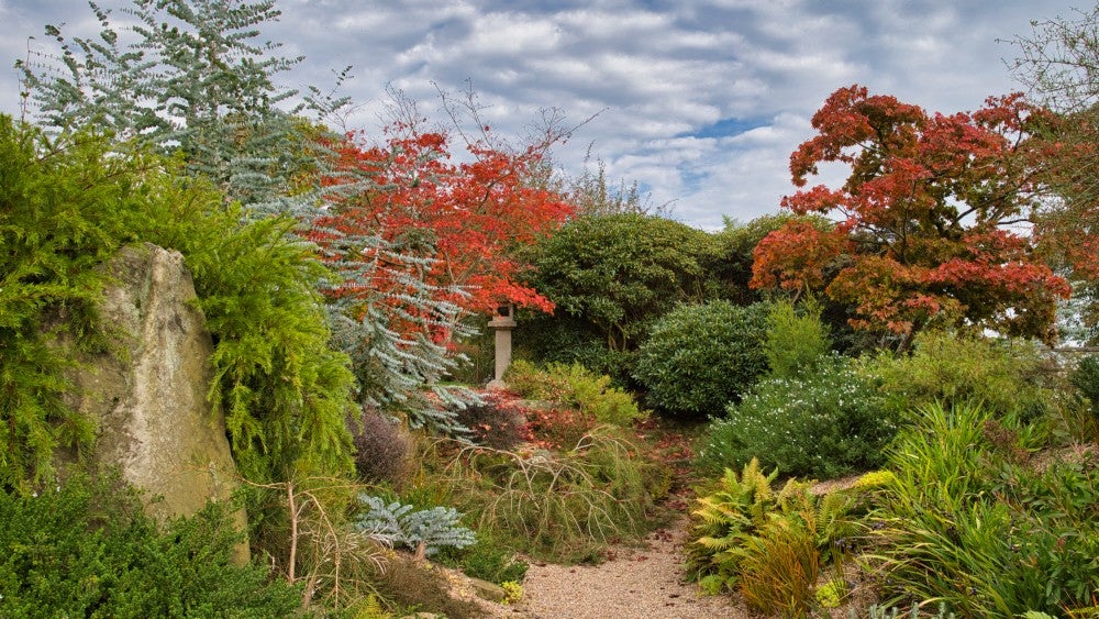 Australasian Dry Garden at Nymans in autumn