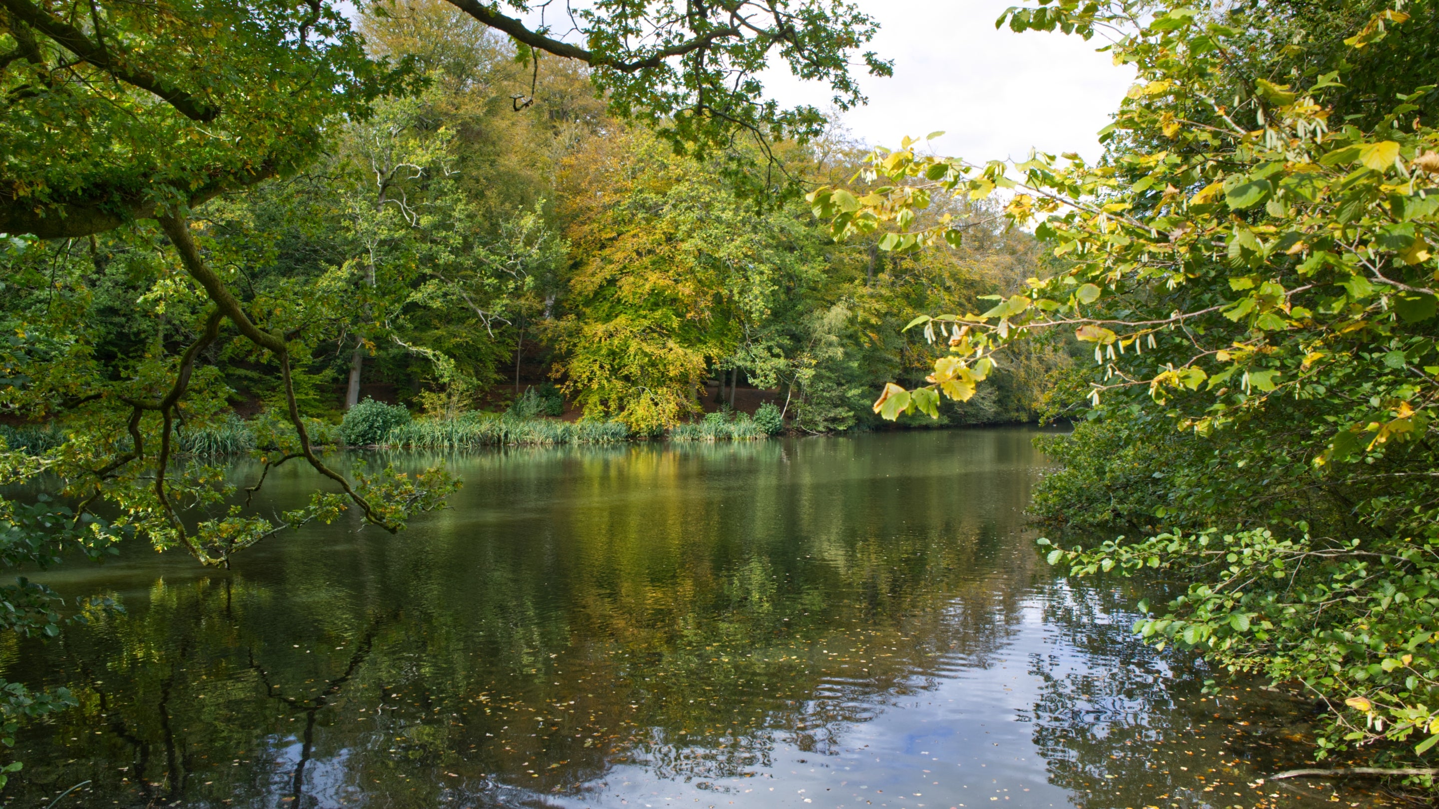 The Lake in Autumn at Nymans