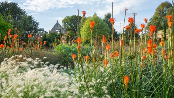 The South African bed is at its most colourful in autumn.