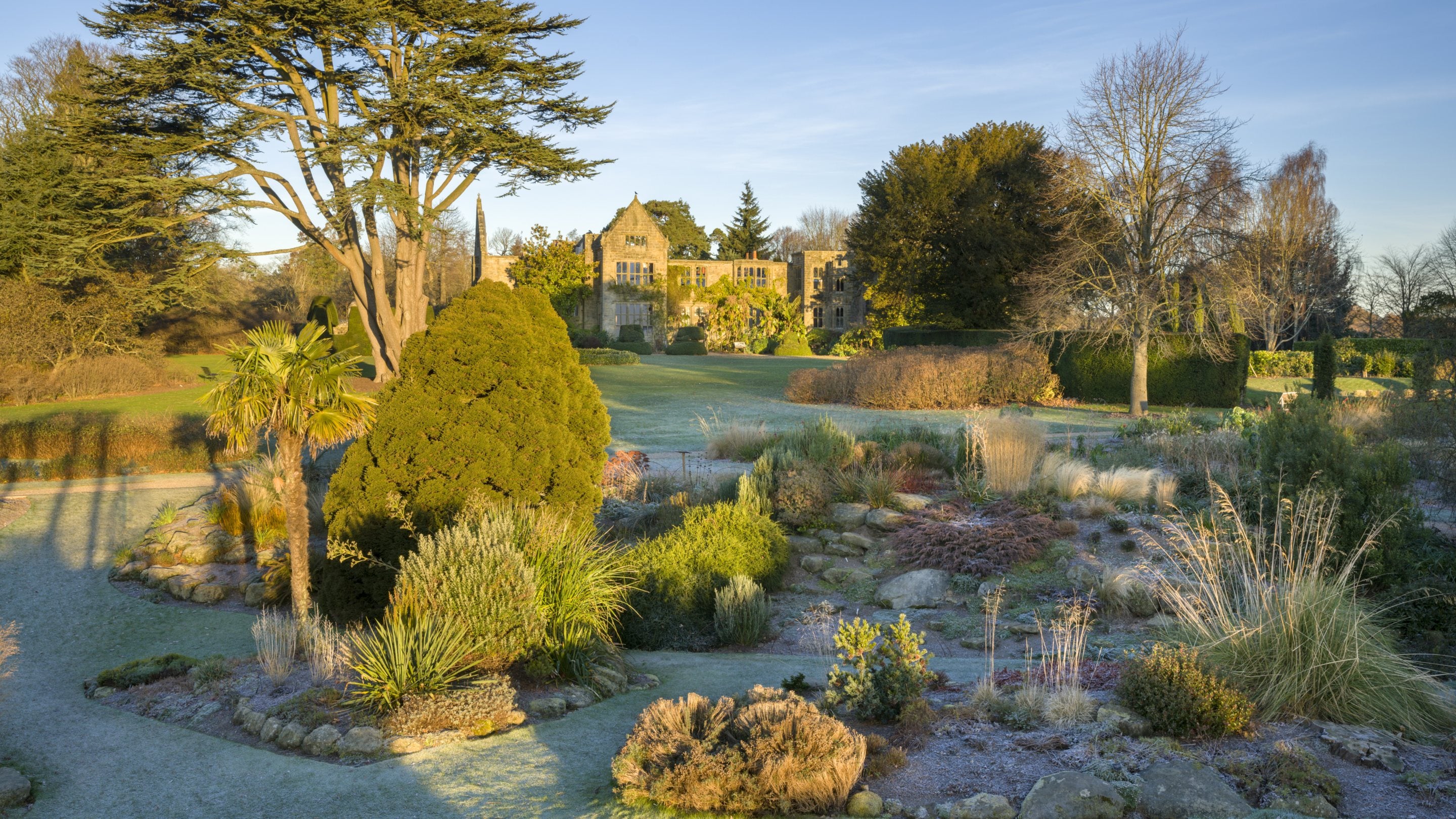 Towards the Ruin of the house from the frosty shrubs in the Rock Garden, Nymans, West Sussex