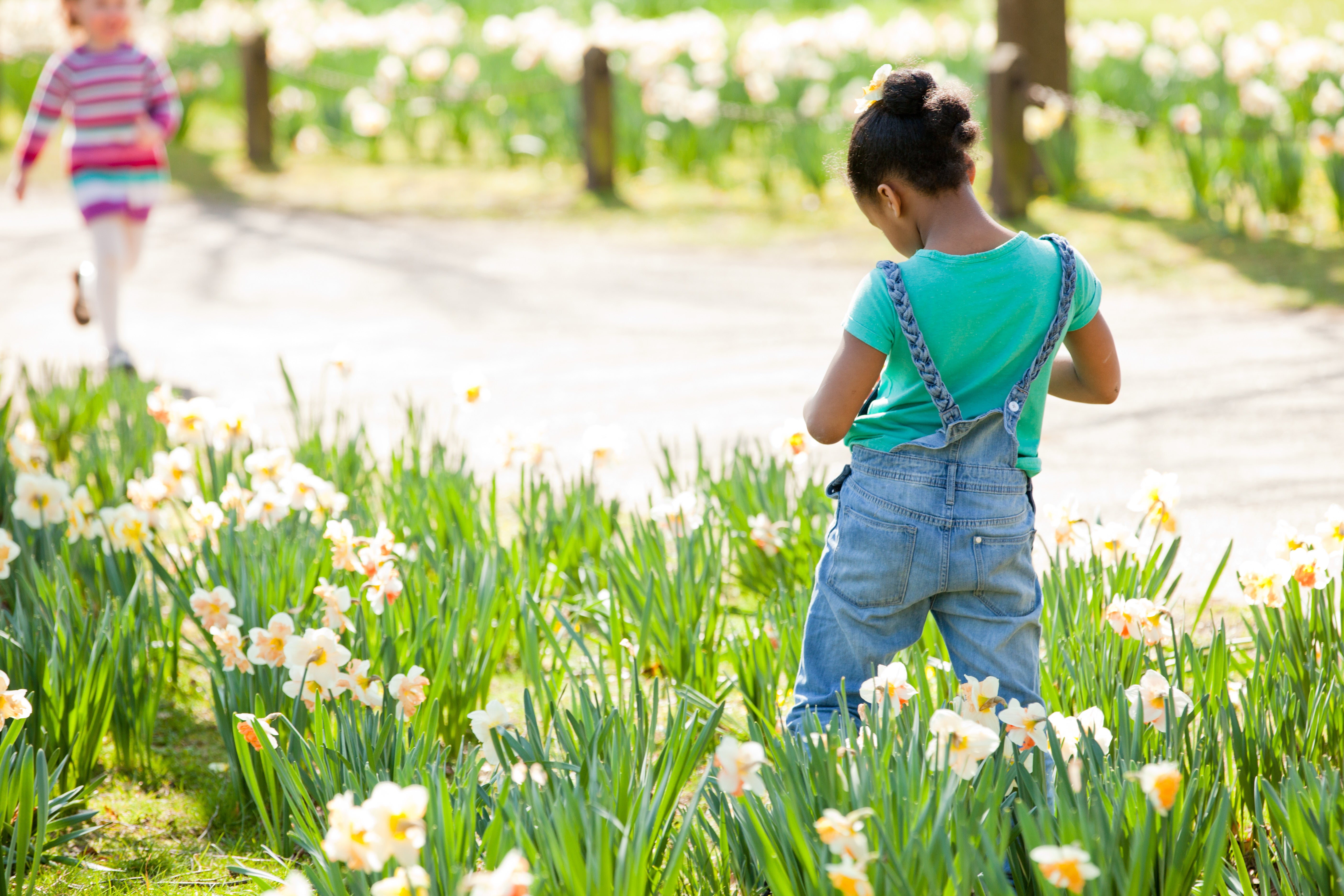 Springtime with the National Trust
