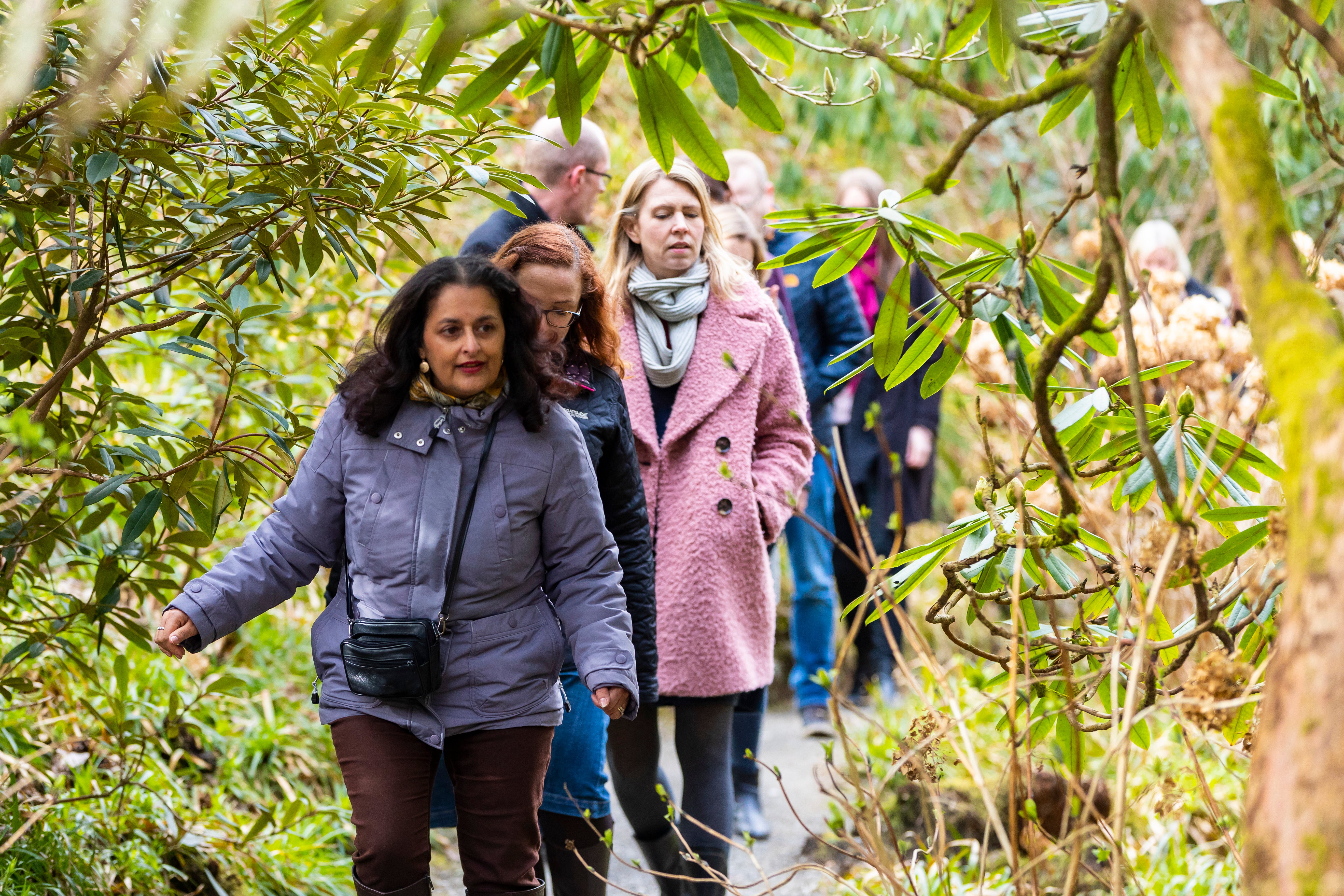 Guided walks with the Ranger