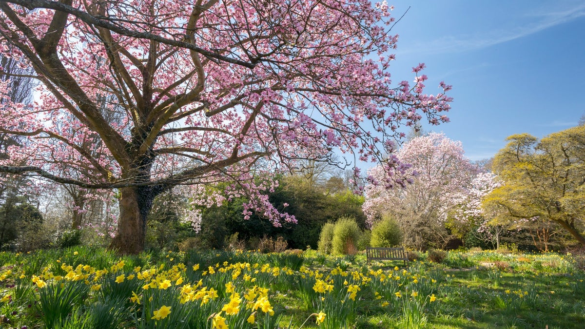 The garden at Nymans | West Sussex | National Trust
