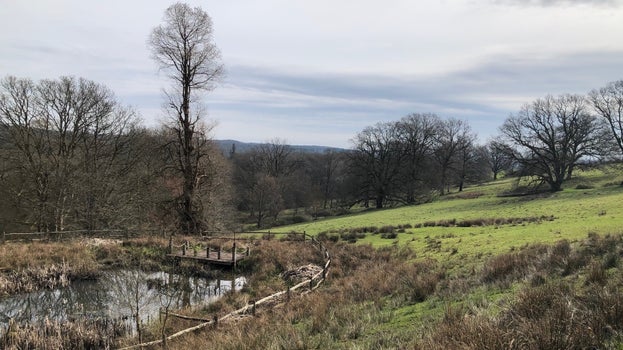 View over the Arboretum at Nymans in the spring