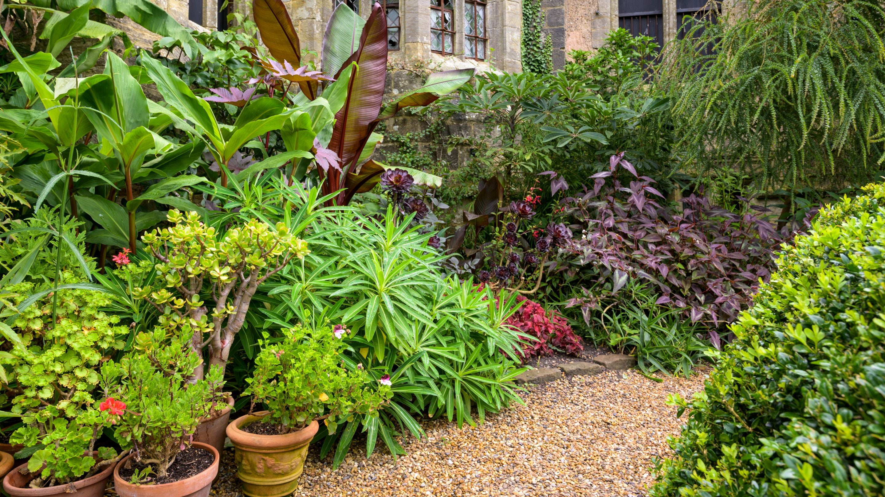 Lush foliage lining a pathway leading to a building at the property
