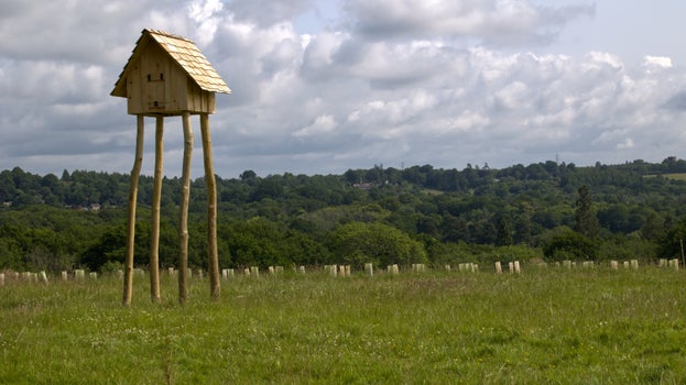 Barn Owl Hotel at Nymans in the middle of a field. The hotel is on stilts and towers above the field.