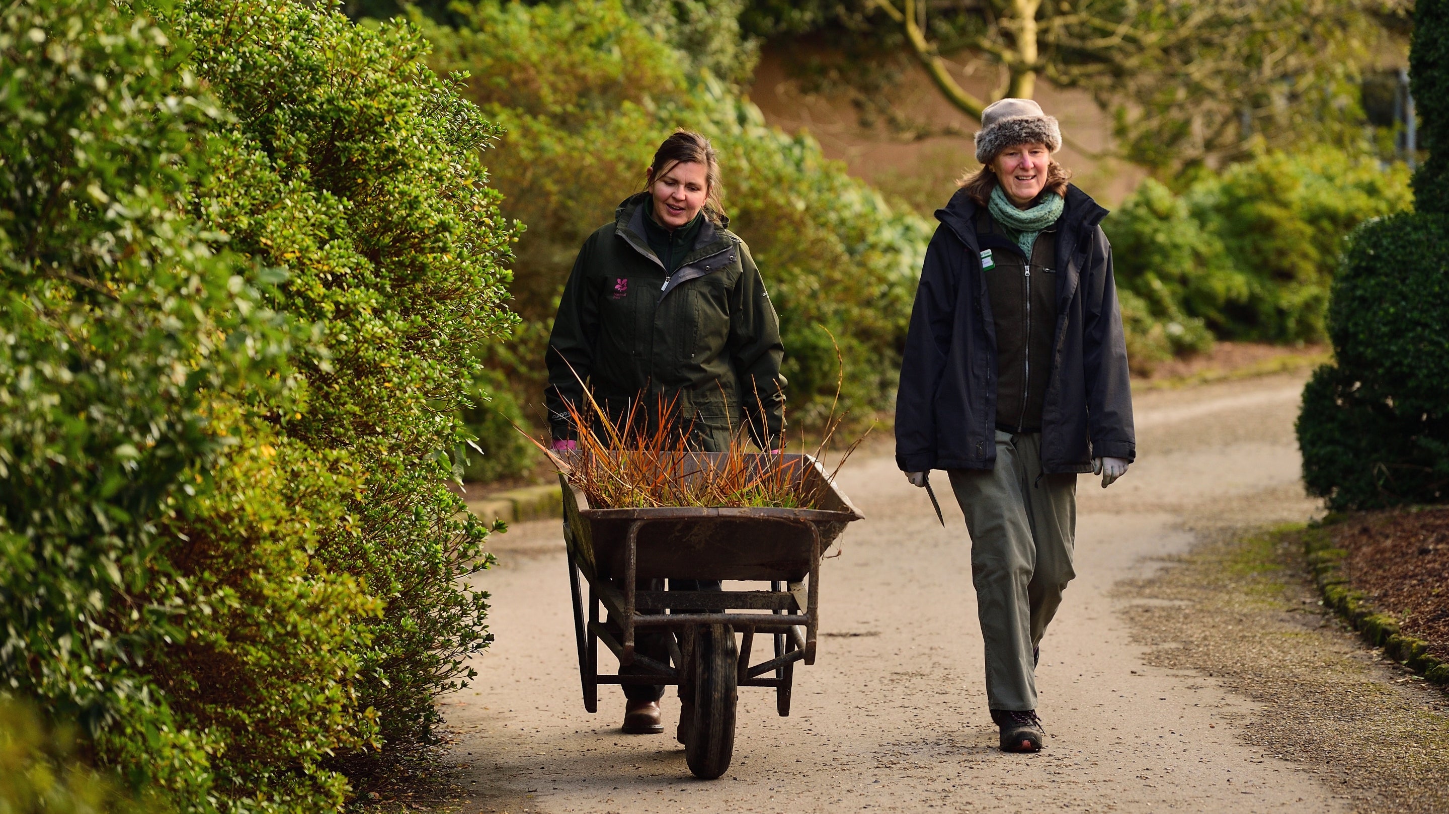Two female gardeners walk along the garden path at Nymans. The staff member on the left pushes a wheelbarrow full of clippings and they're both wrapped up in fleeces and hats for wintry weather.