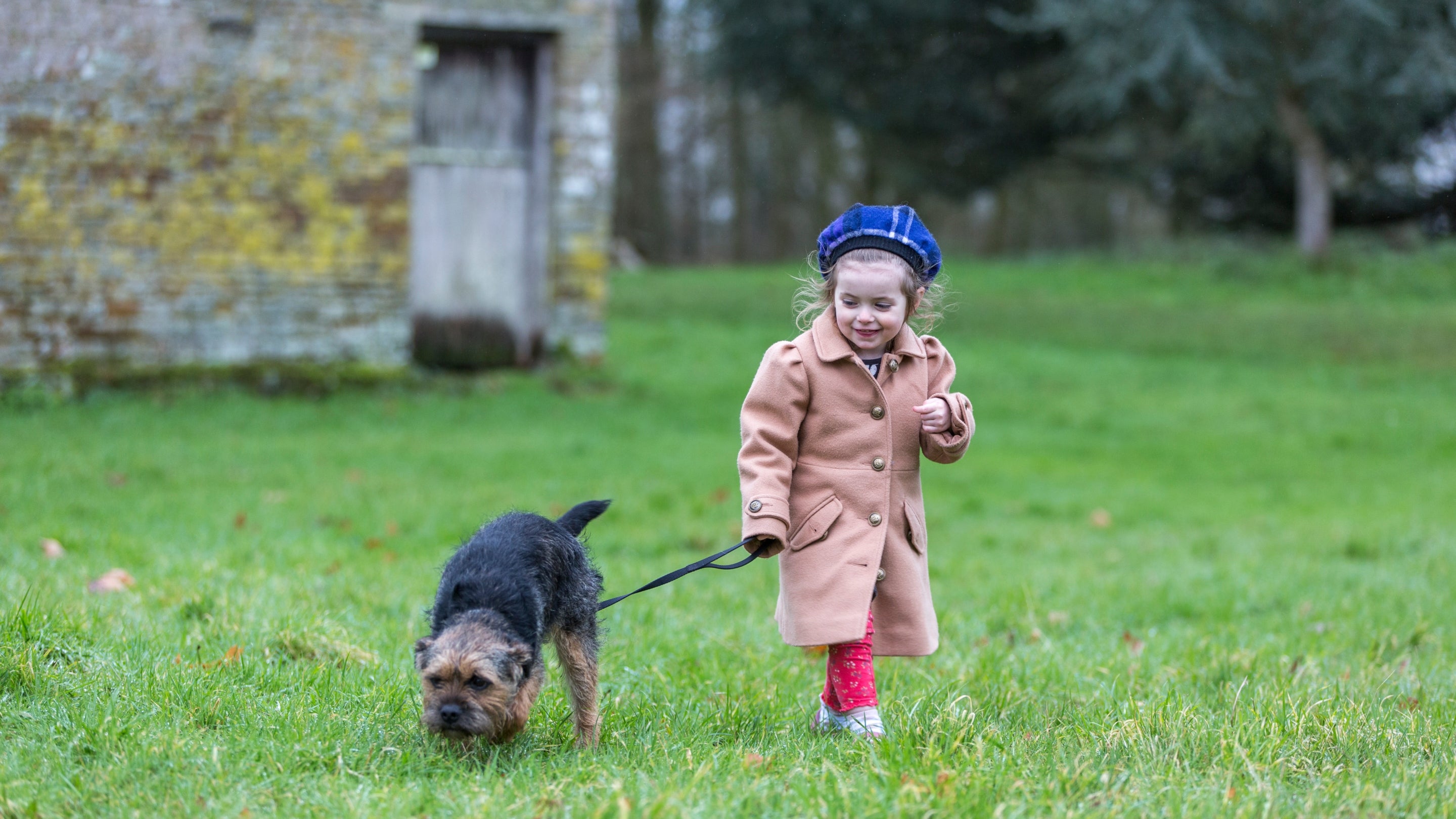 Dog walking in the winter, a child with a dog on a lead
