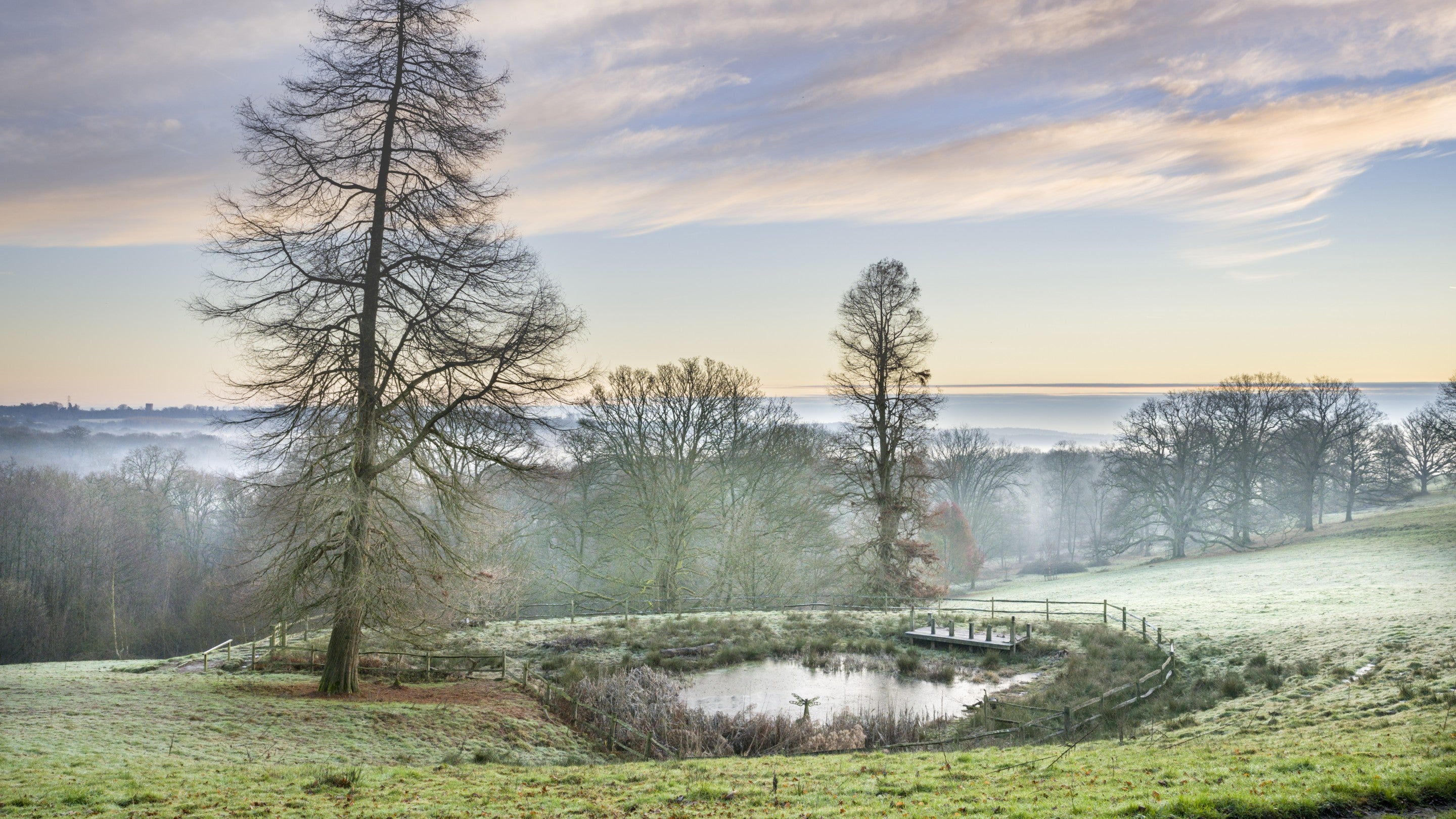 View of woodland and lily pond at Nymans in winter, West Sussex