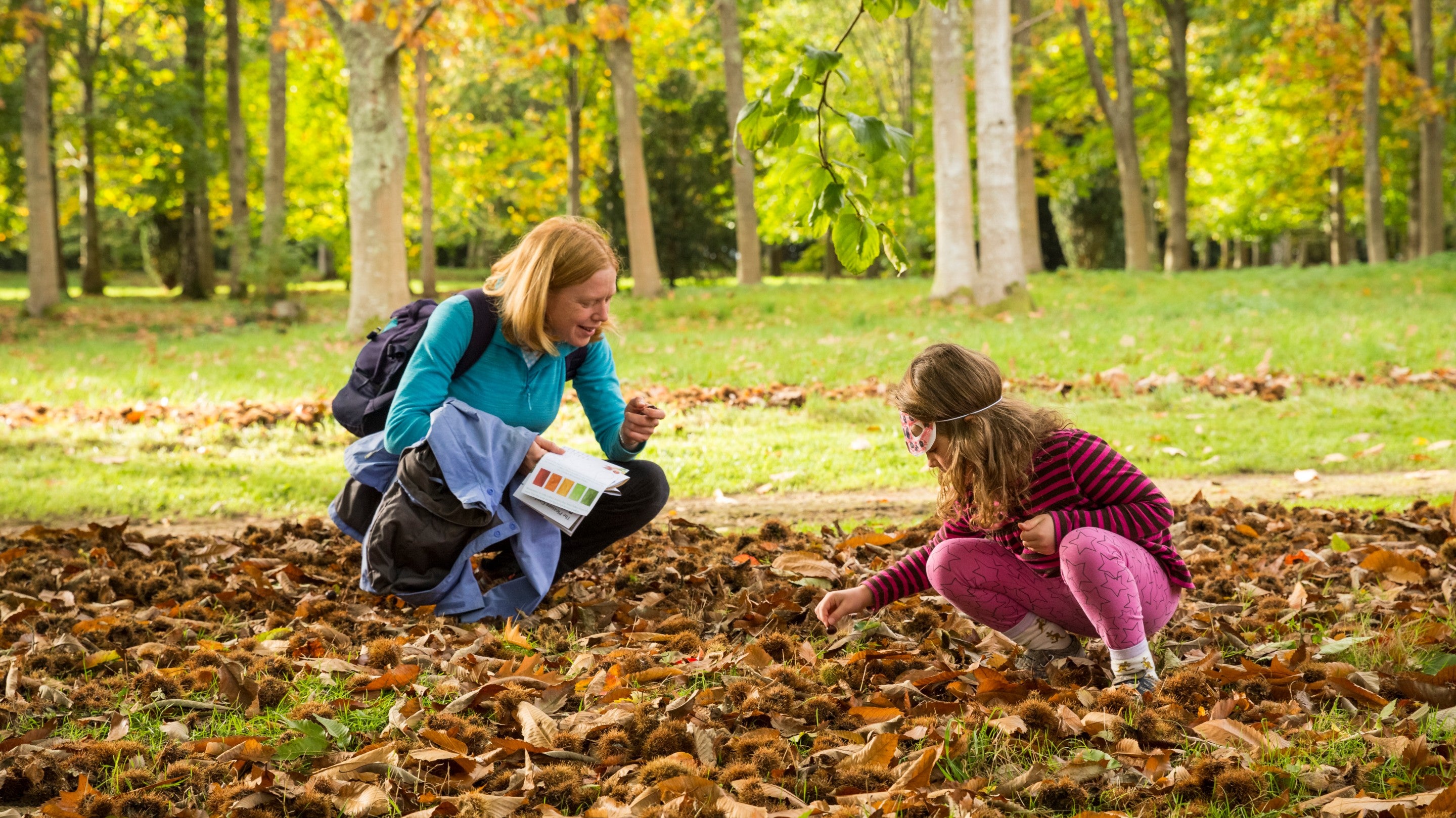 Family exploring nature in the park at Petworth, West Sussex