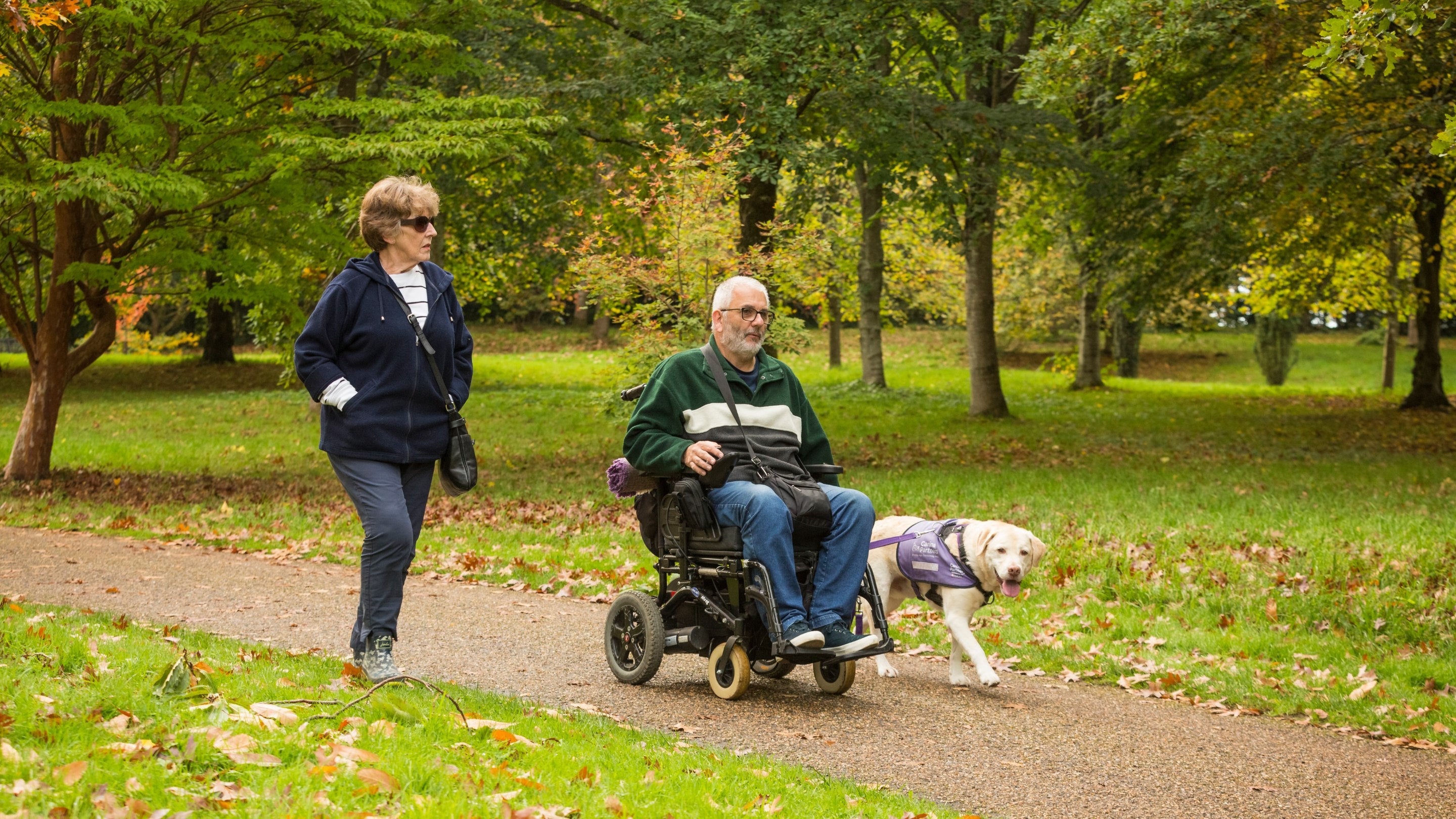 Visitors exploring the park with their service dog at Petworth, West Sussex