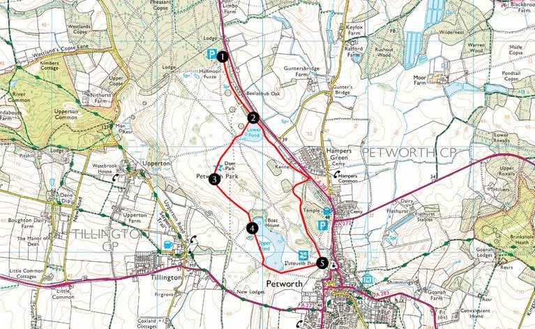 Petworth Park through Turner's Eyes trail