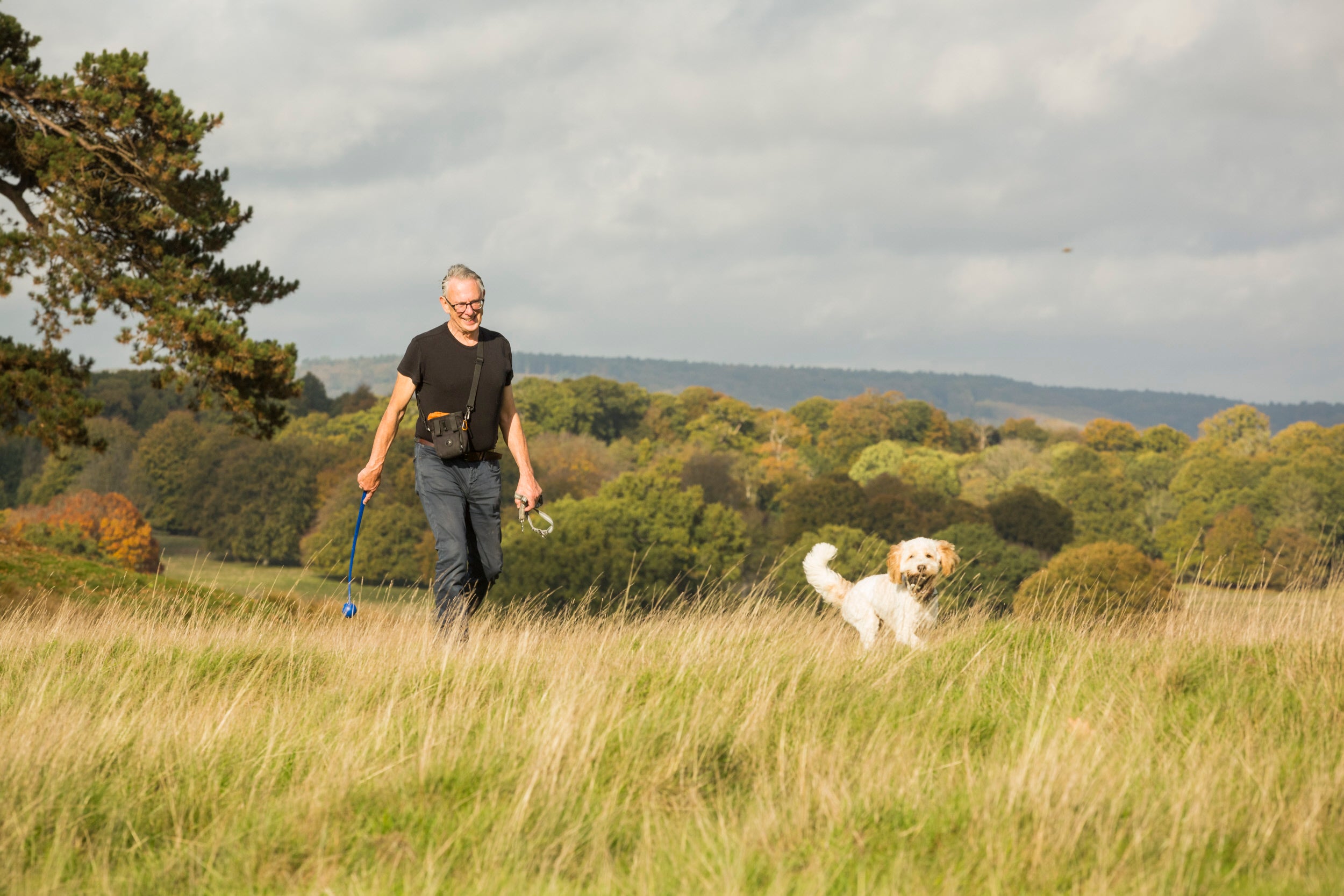 Dog walk in the Park at Petworth, West Sussex