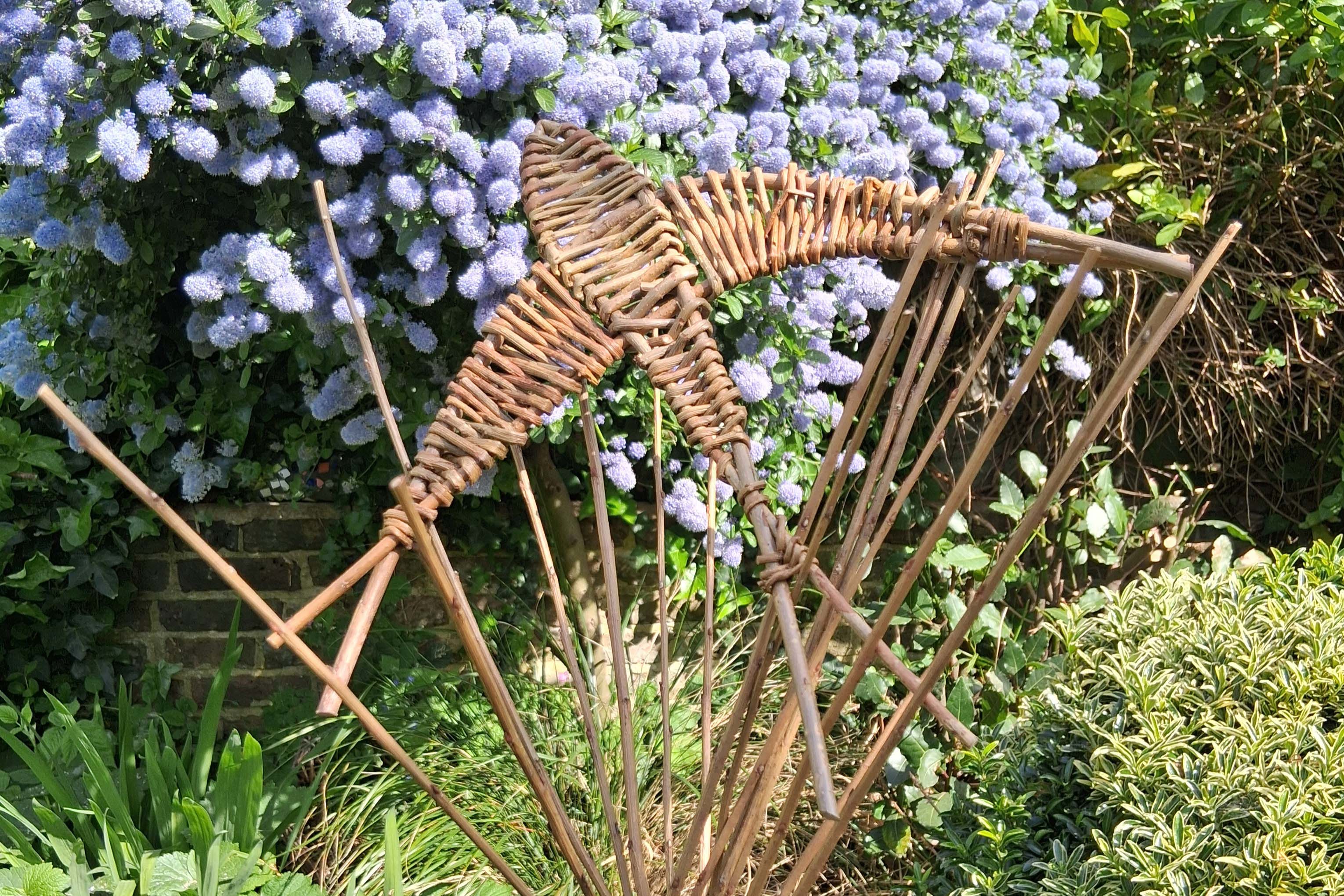 Willow swallow