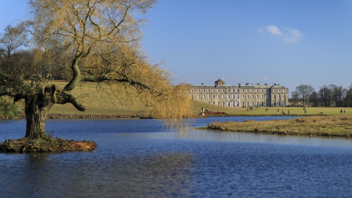 Petworth House & Park Deer Park W Sussex National Trust