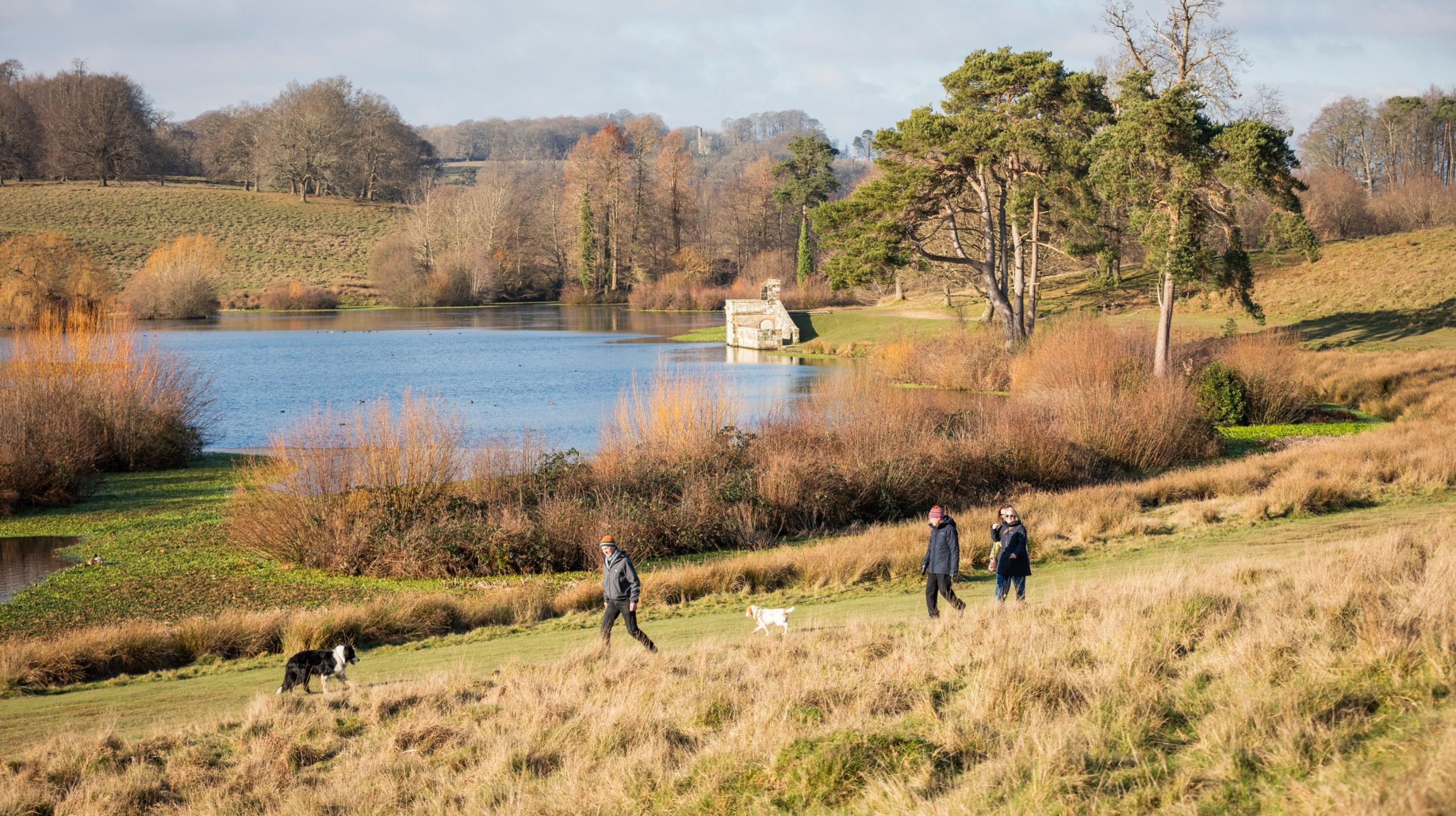Winter walking at Petworth House and Garden, West Sussex