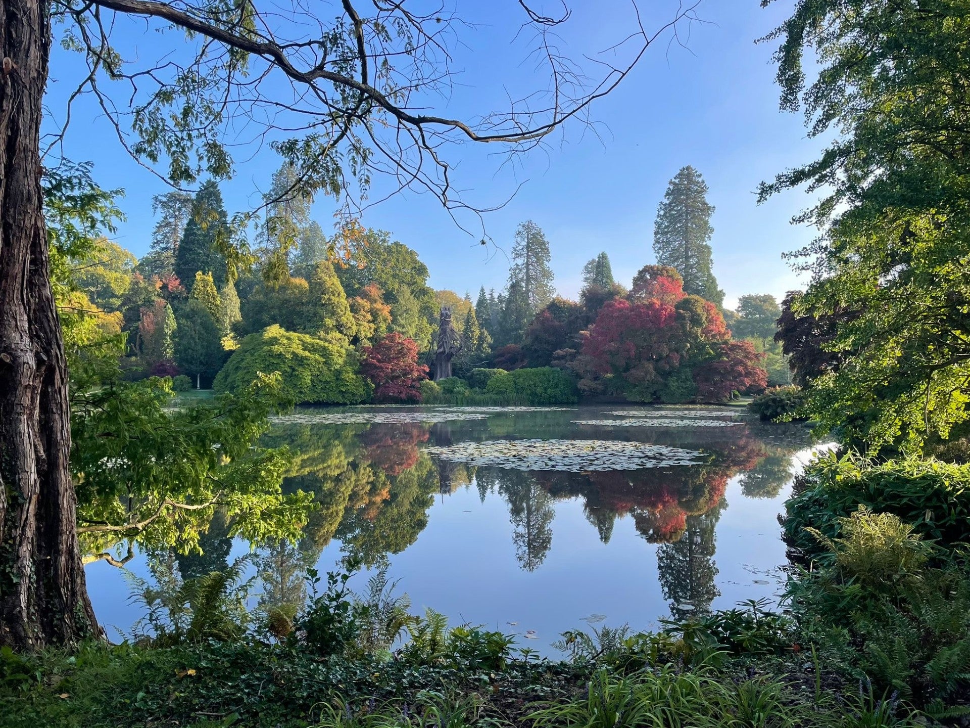 View of trees in autumn across a lake