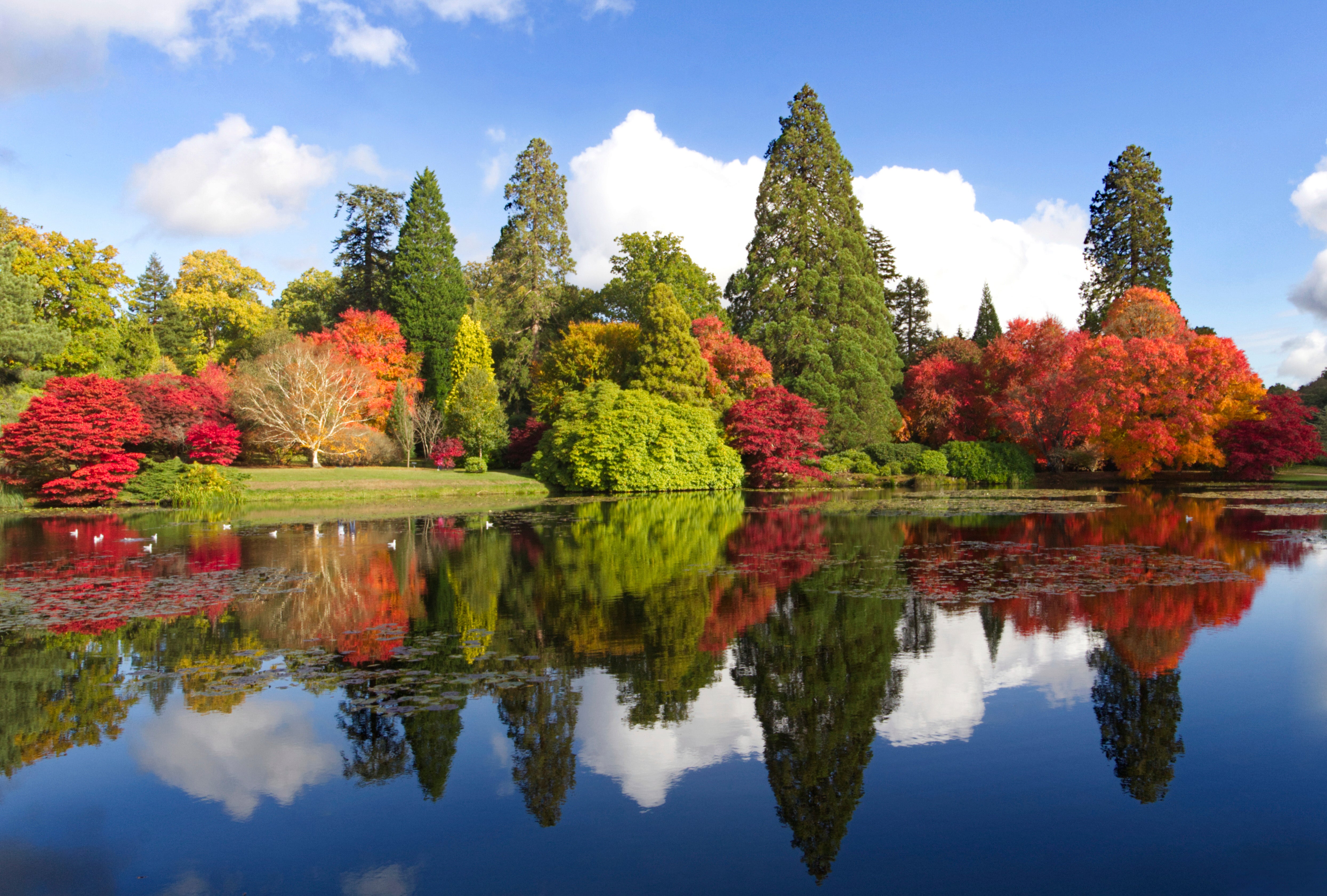 An autumnal view across a lake showing reflections