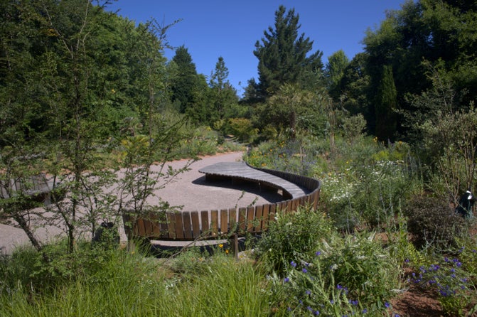 Integrated seating area in the new garden space at Sheffield Park and Garden