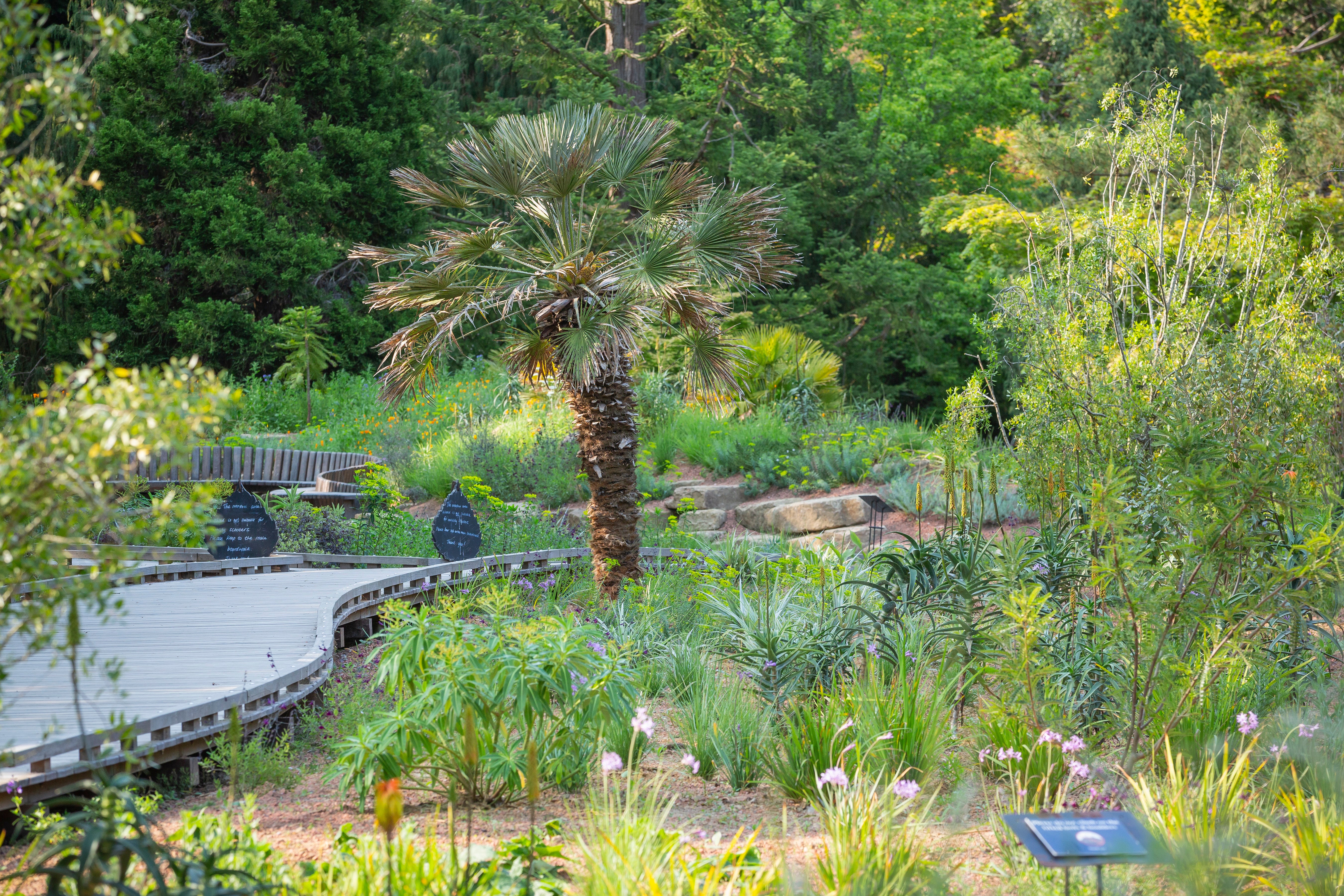 View of the beds and pathways in Garden for the Future featuring climate resilient planting