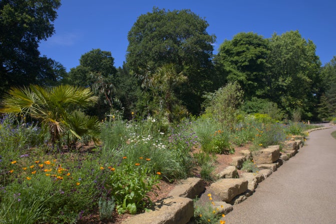 A view of climate resilient planting along a pathway through Garden for the Future