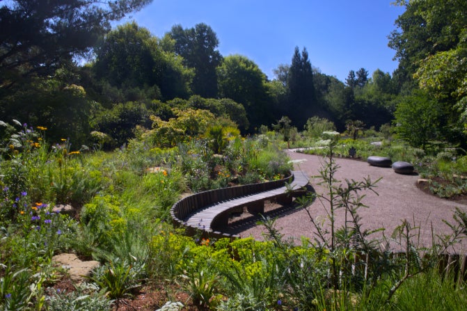 A view of climate resilient planting a new seating area