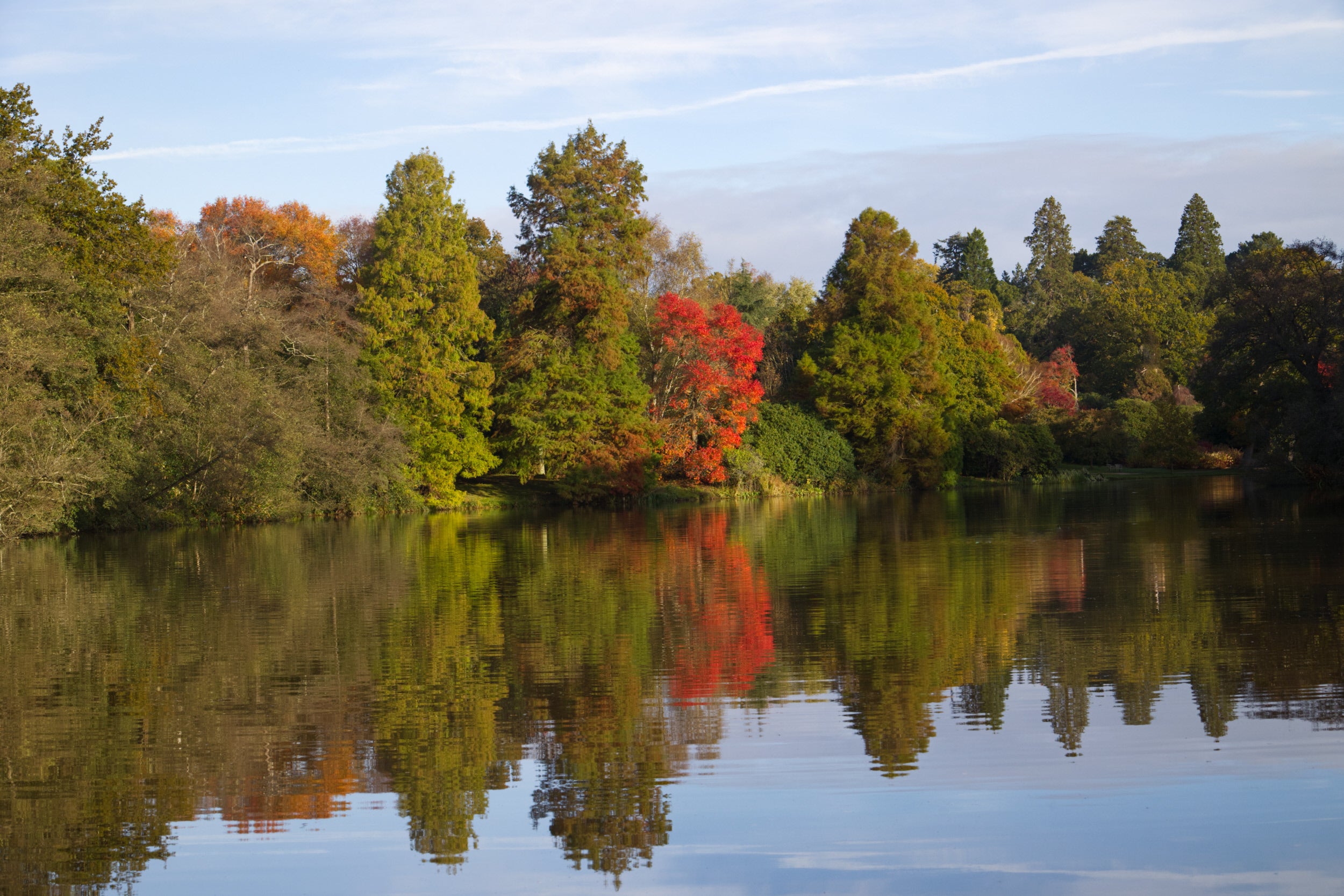 View of a lake and trees in autumn reflected in the water