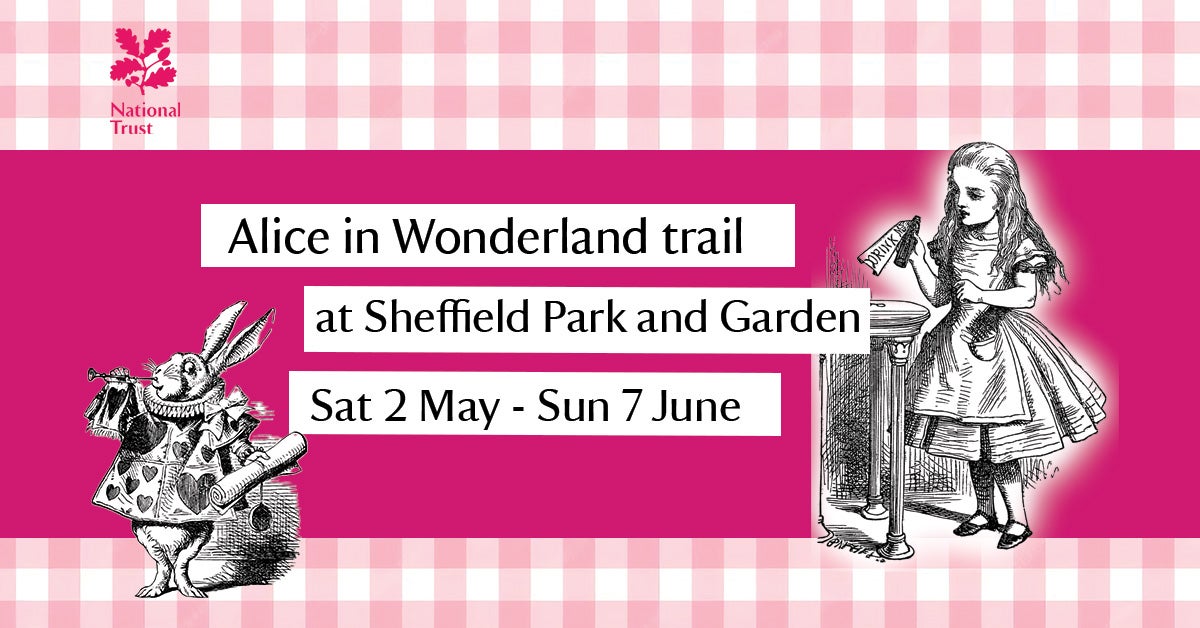 Alice in Wonderland trail banner
