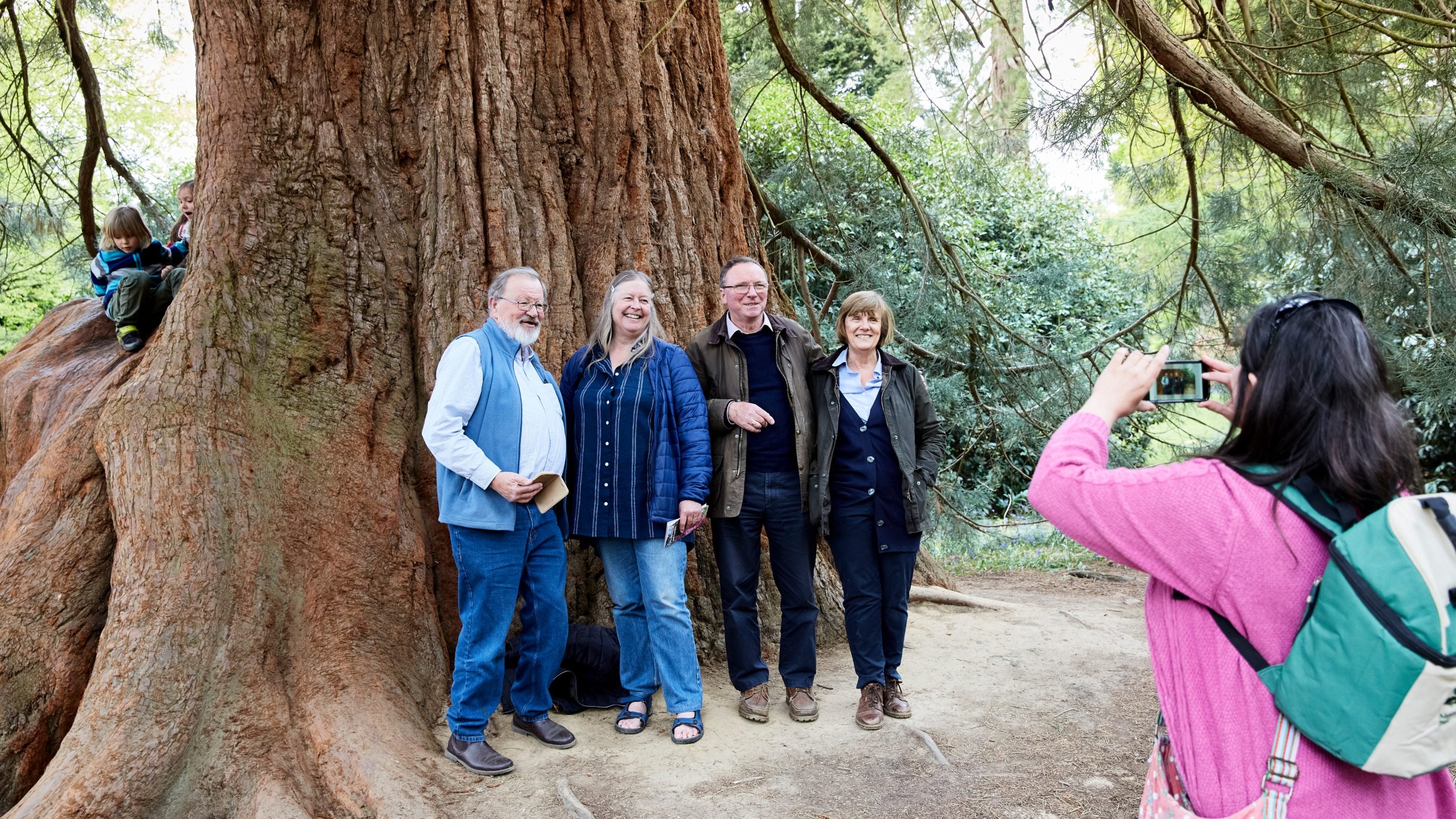 Visitors posing for a picture by the enormous trunk of a giant redwood tree (Sequoiadendron giganteum) at Sheffield Park and Garden, East Sussex