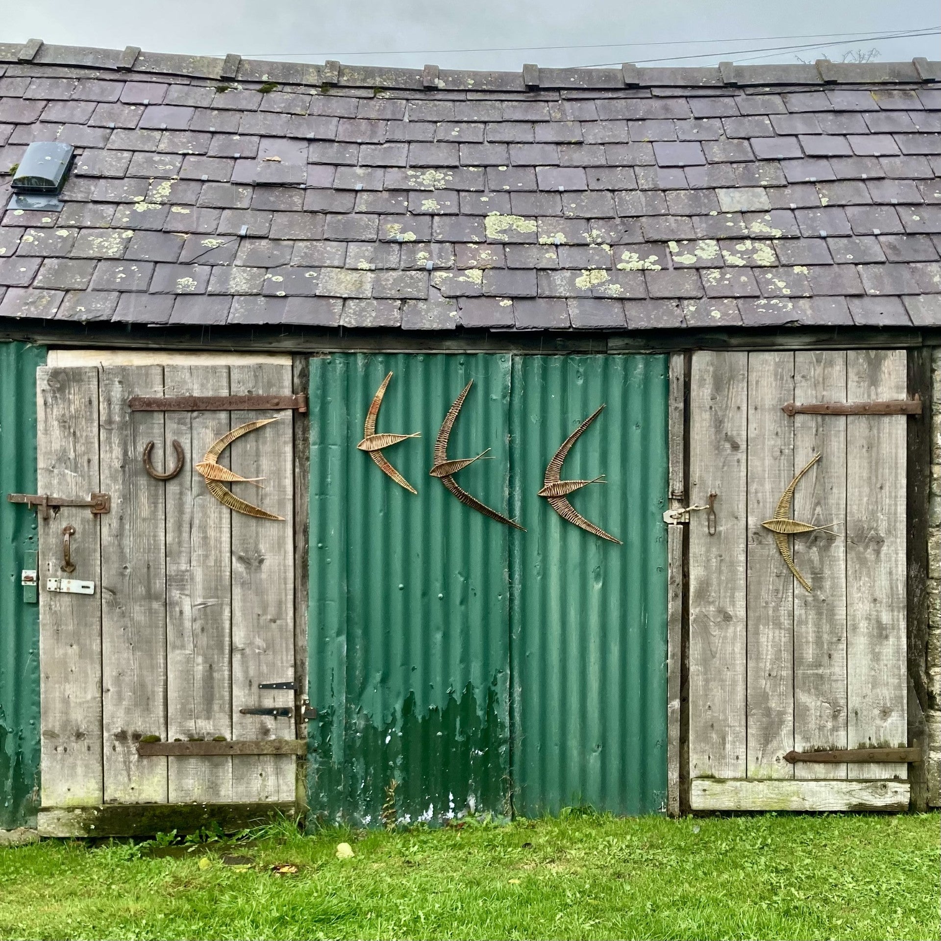Willow swifts displayed on a wall