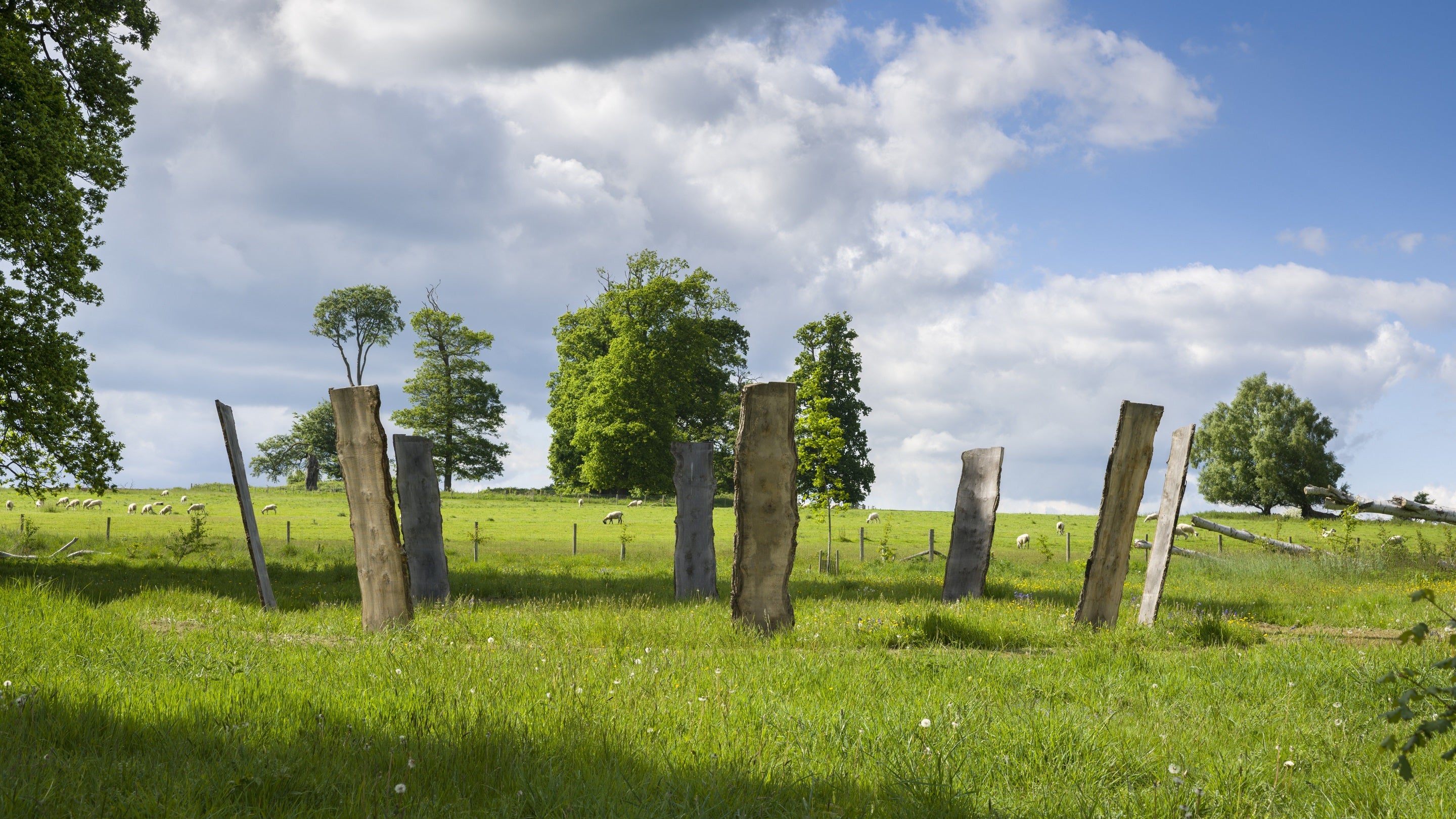 Skyglade at Sheffield Park and Garden, East Sussex