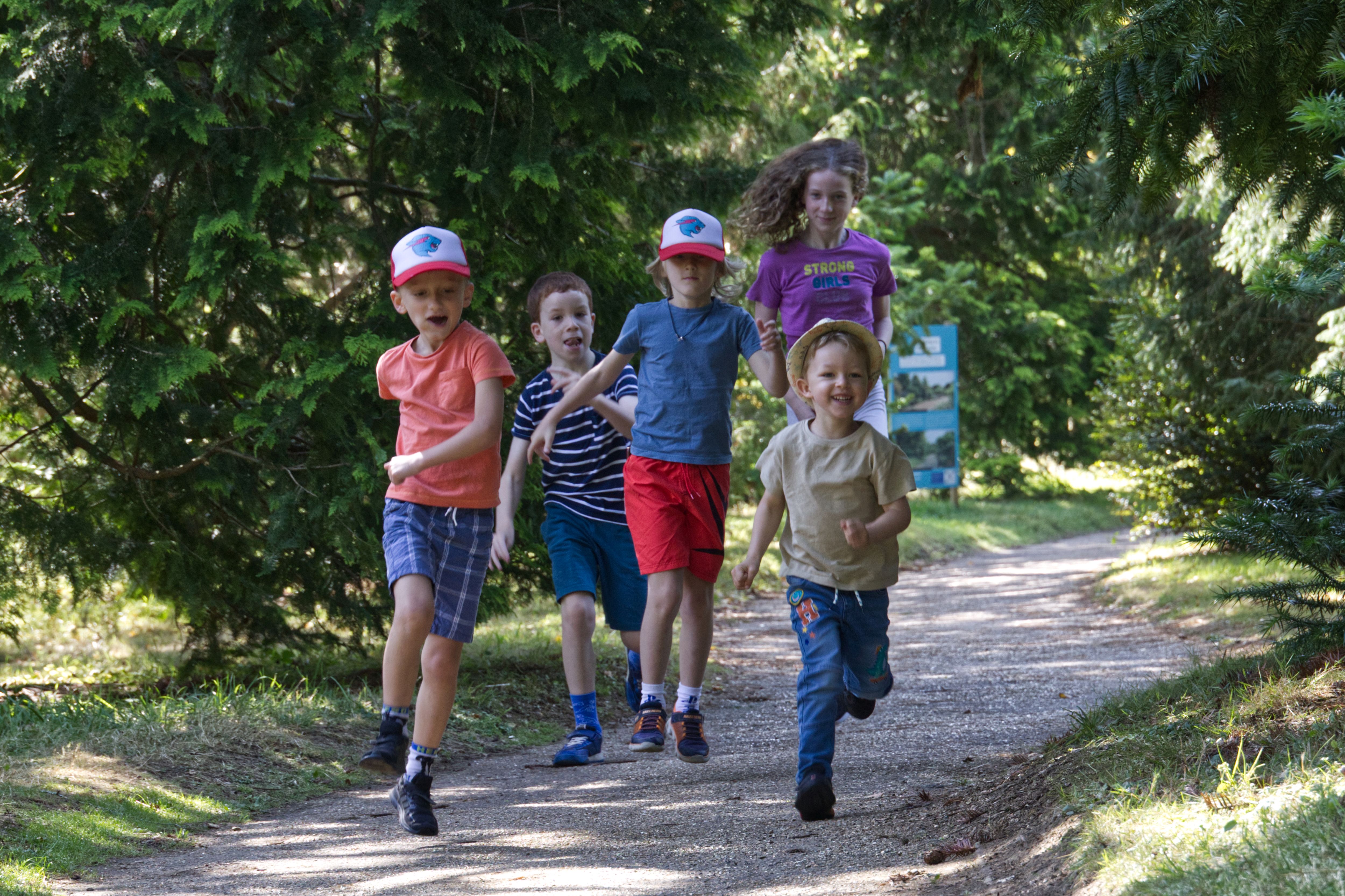 Children running down a path through a garden in summer