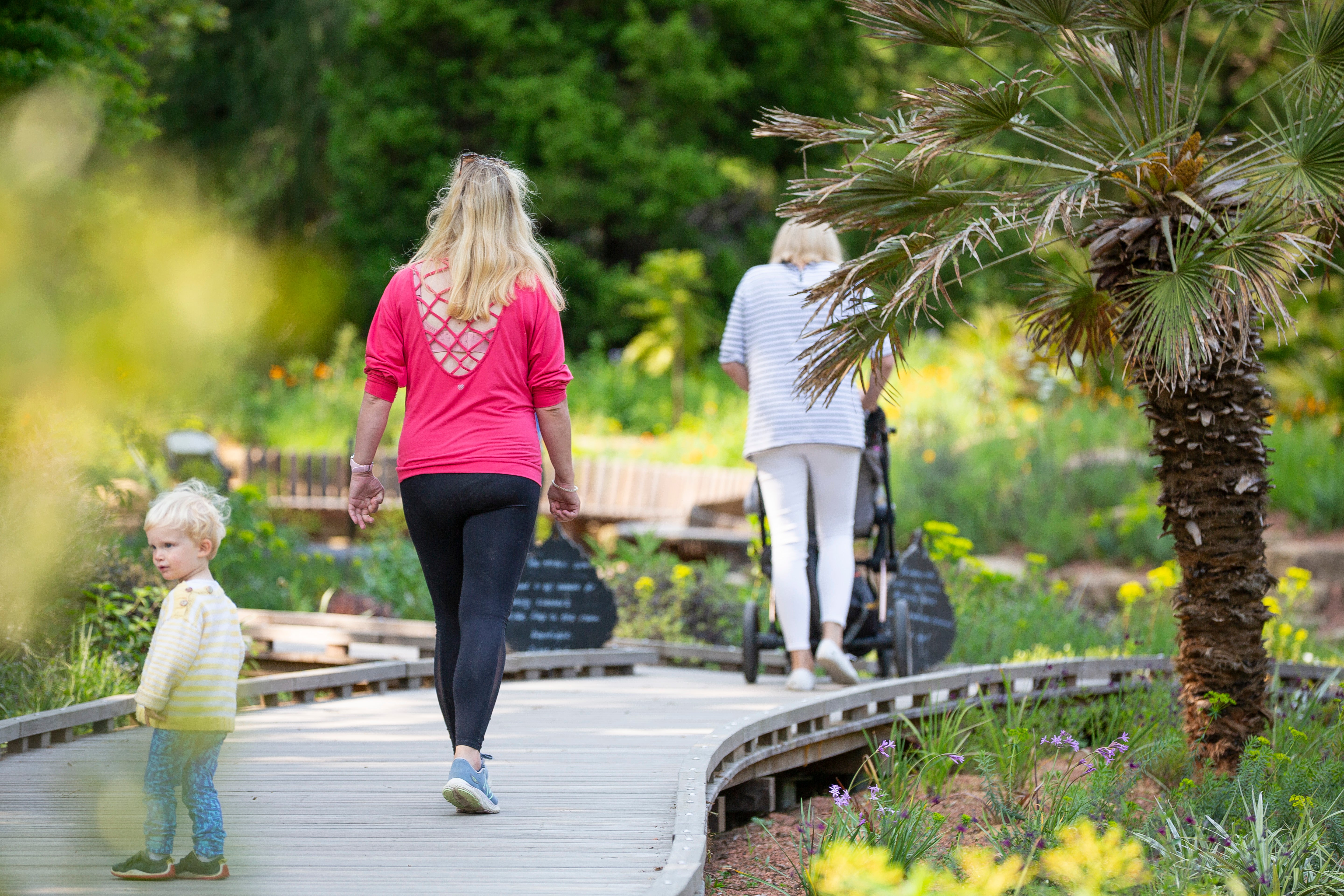 Mum and child walking in the garden at Sheffield Park and Garden