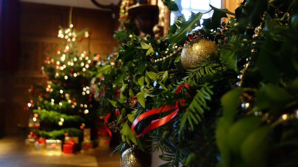 Christmas tree and decorations in Oak Hall at Sheffield Park and Garden