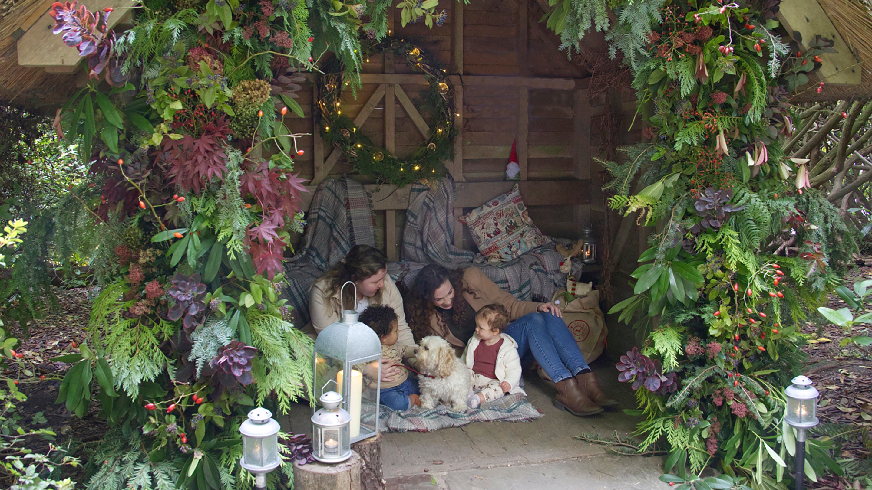 Christmas photo stops at Sheffield Park and Garden