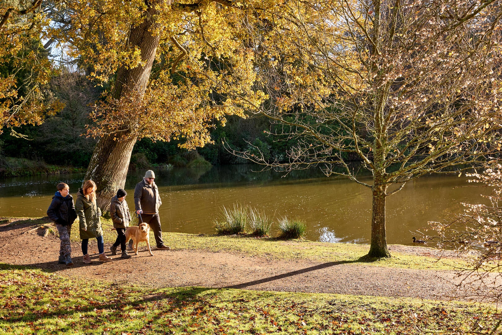 Family and their dog on a winter walk on a sunny day