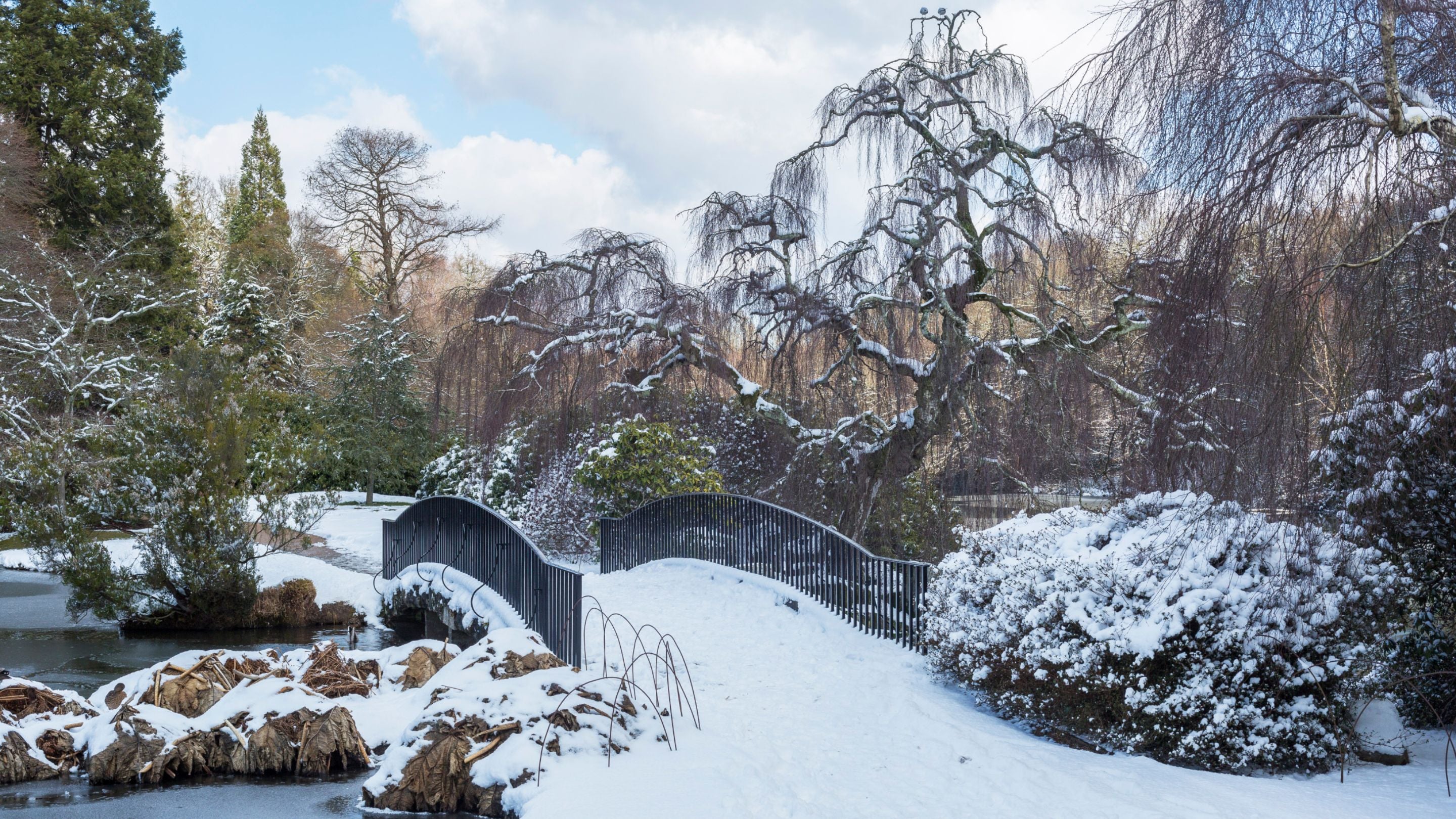 Snow at Sheffield Park and Garden, East Sussex