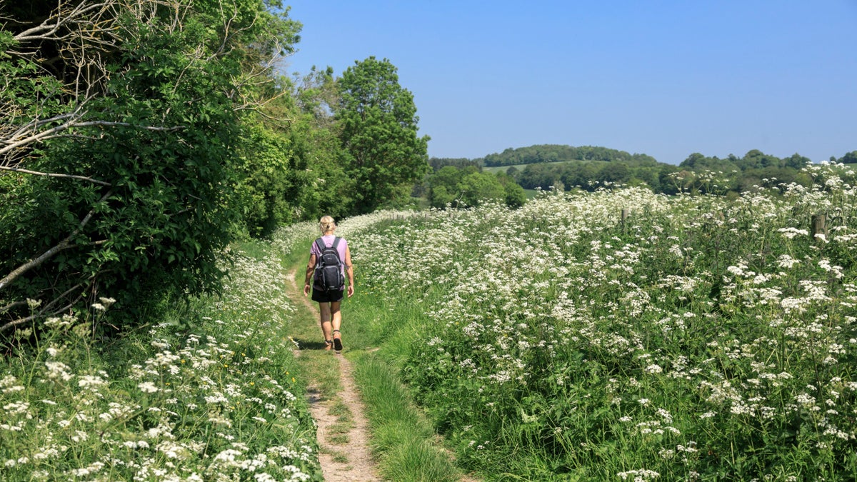 Slindon Estate Sussex National Trust