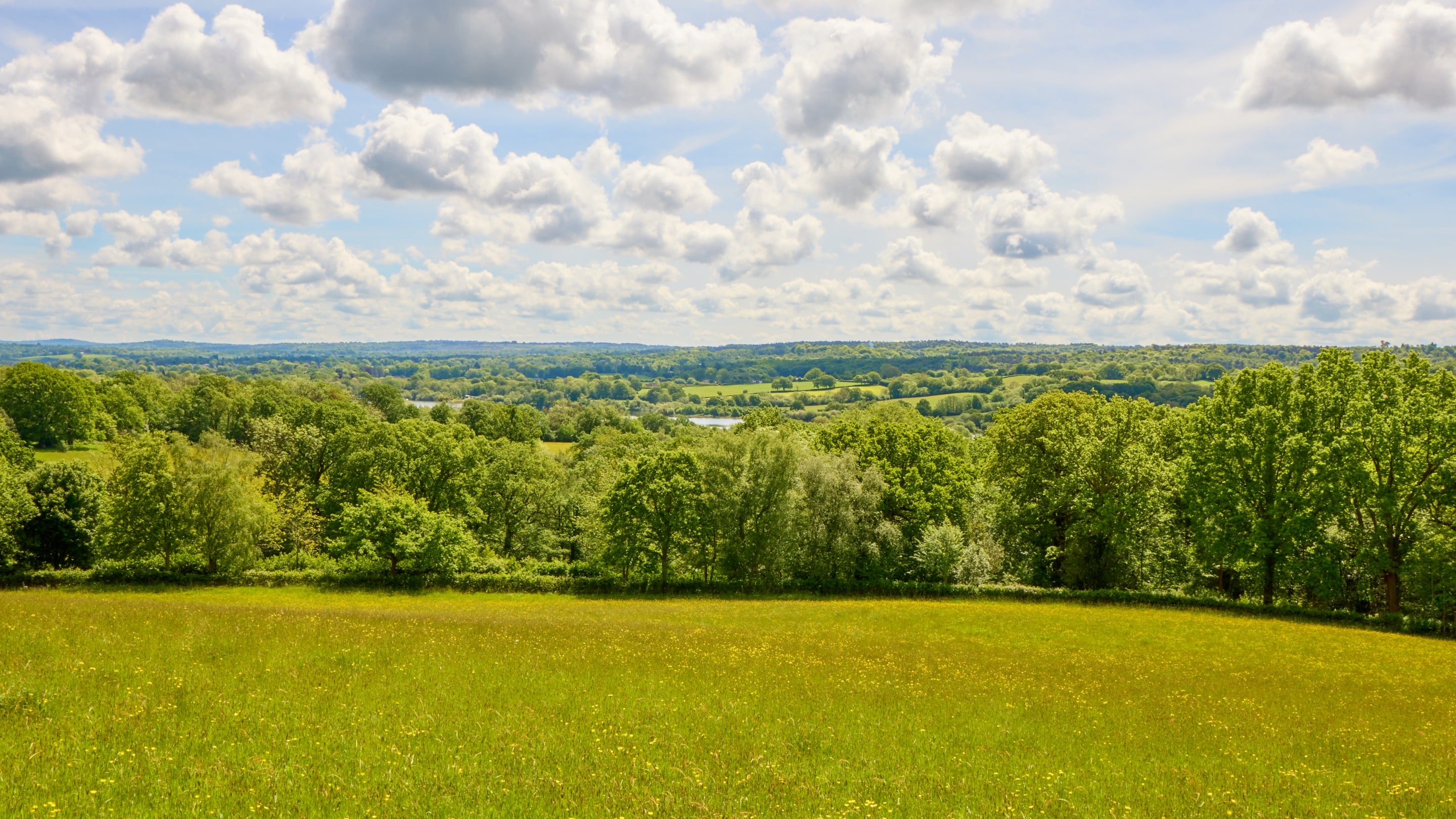 View towards Weirwood reservoir at Standen on a clear and sunny day