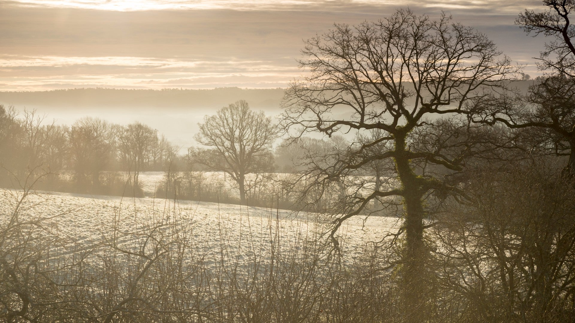 Winter landscape at Standen