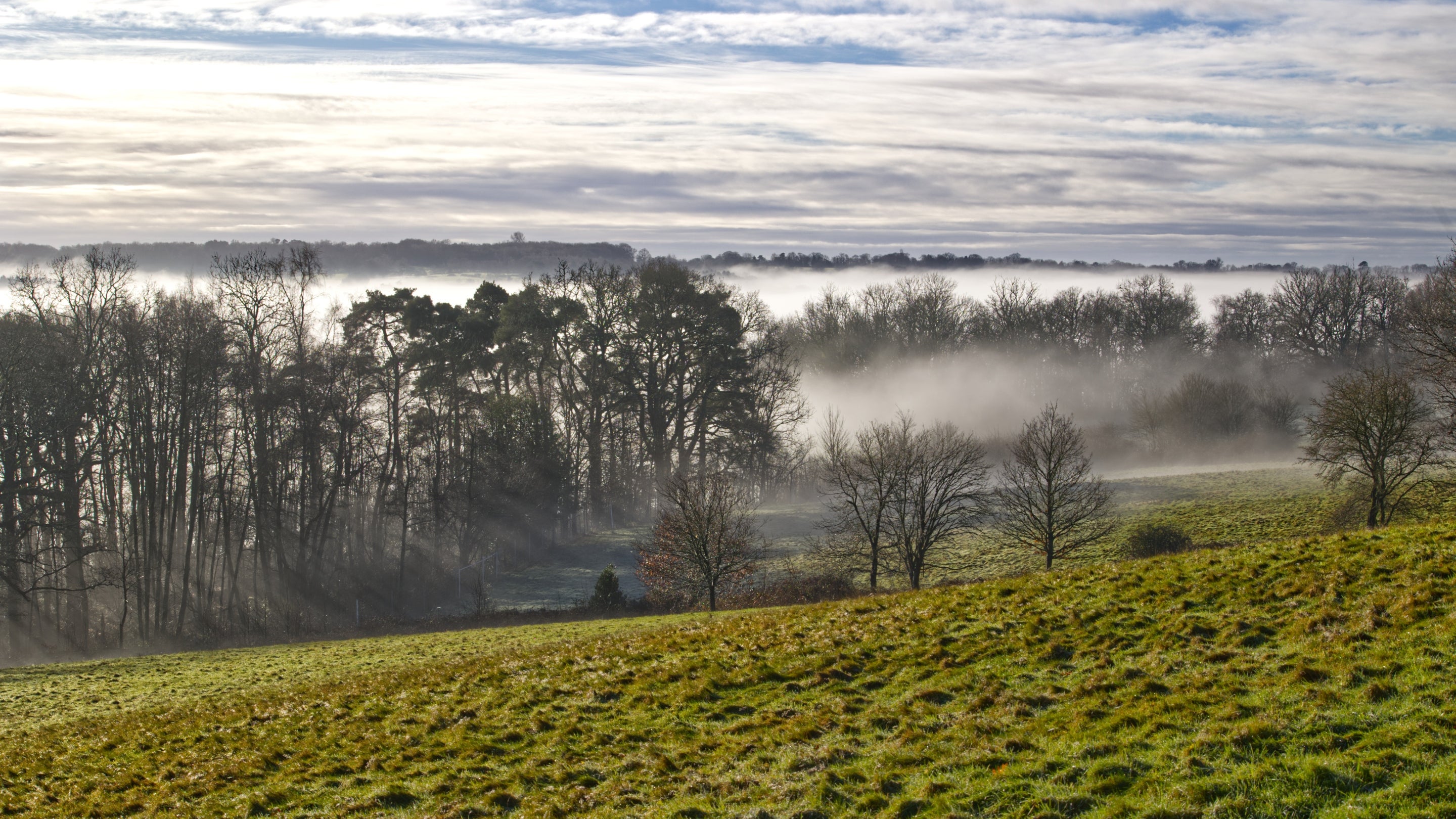 Misty Morning seen from the Upper Terrace at Standen