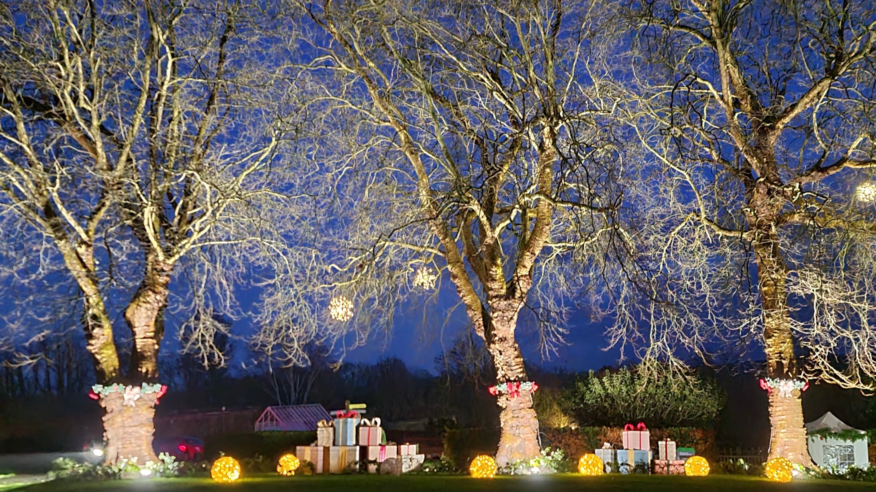 Evening on Goose Green which is brightly lit for Christmas