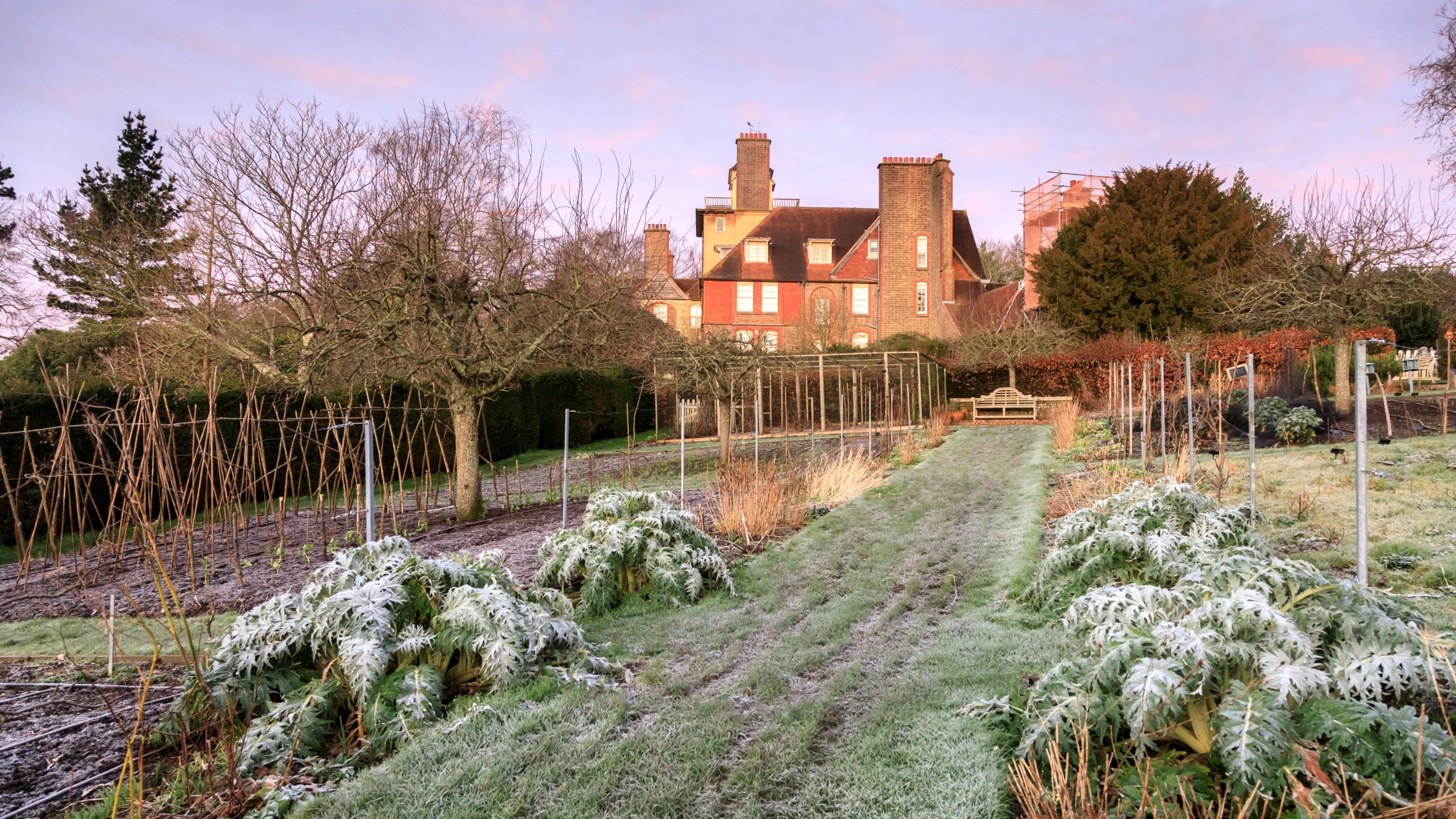 The Kitchen Garden covered in frost