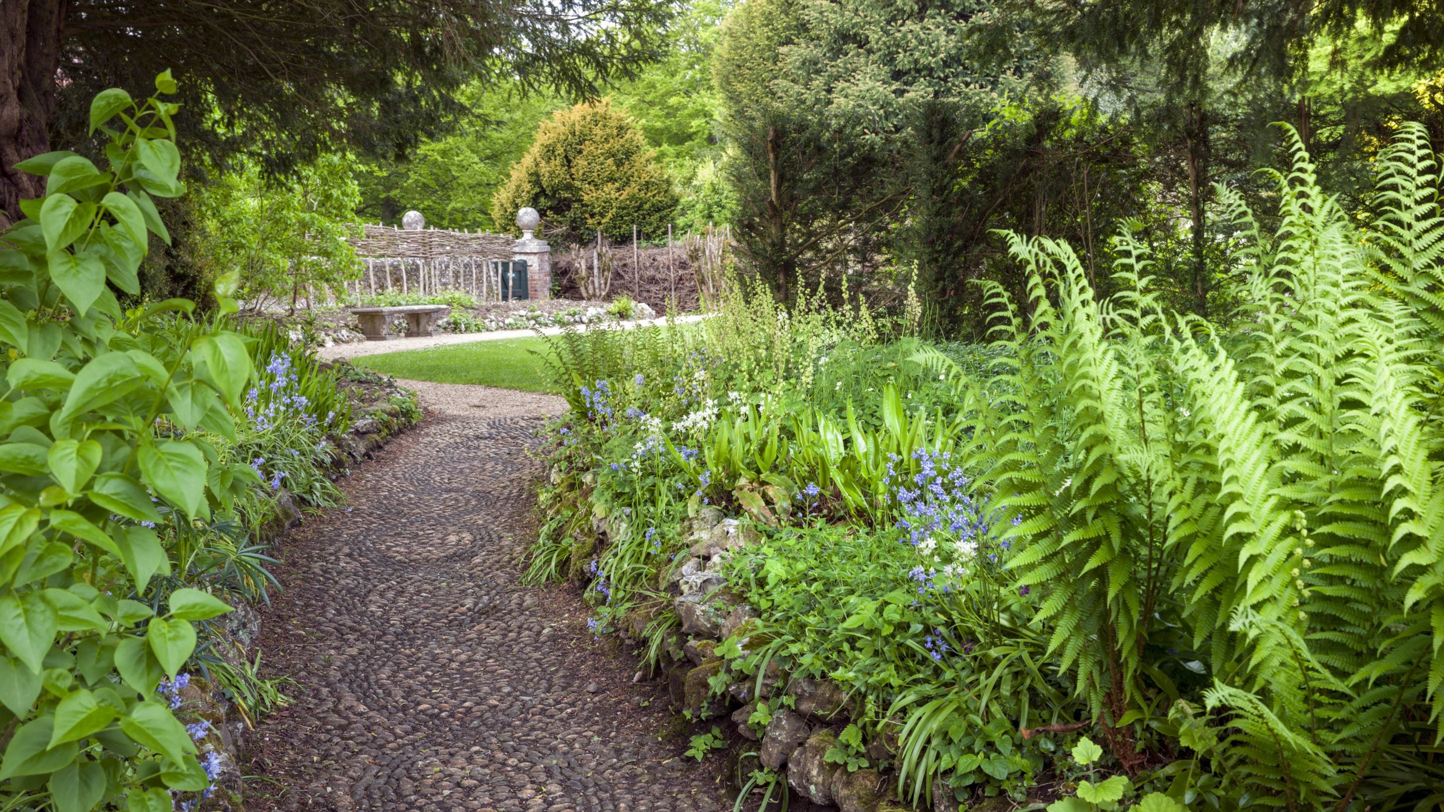 A stone patterned path with blue flowers and green ferns in the borders in early summer at Uppark House and Garden, West Sussex.